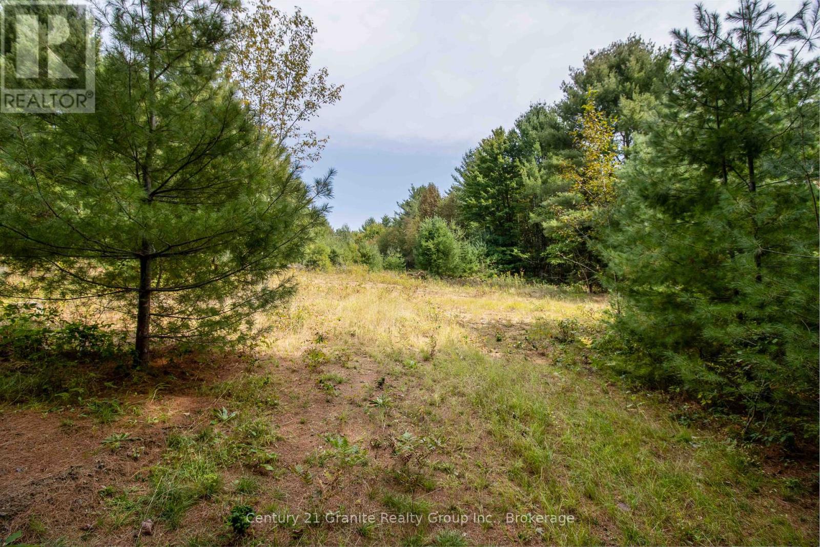 4729 County Road 121, Minden Hills, Ontario  K0M 2K0 - Photo 16 - X12132890