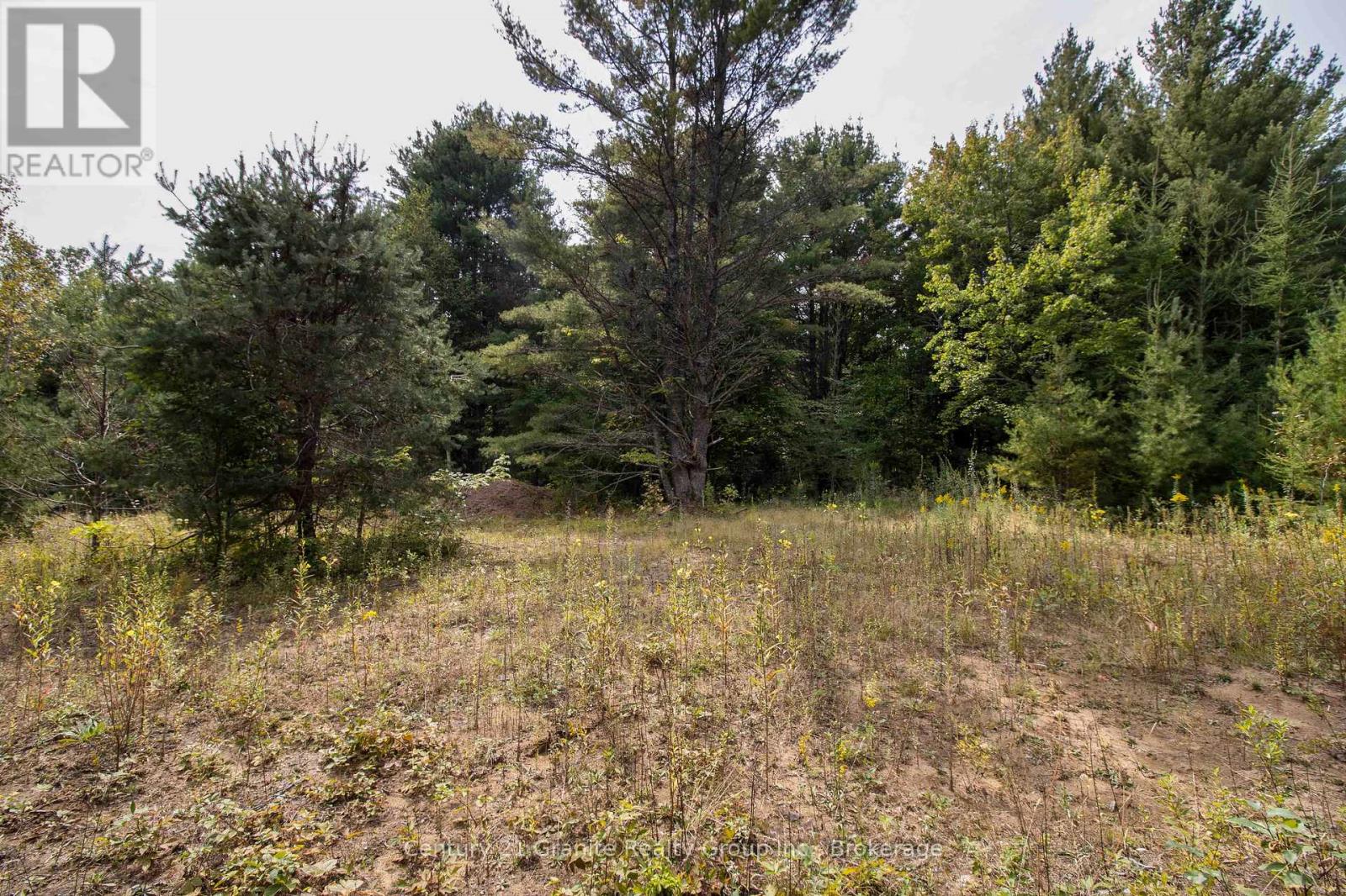 4729 County Road 121, Minden Hills, Ontario  K0M 2K0 - Photo 18 - X12132890