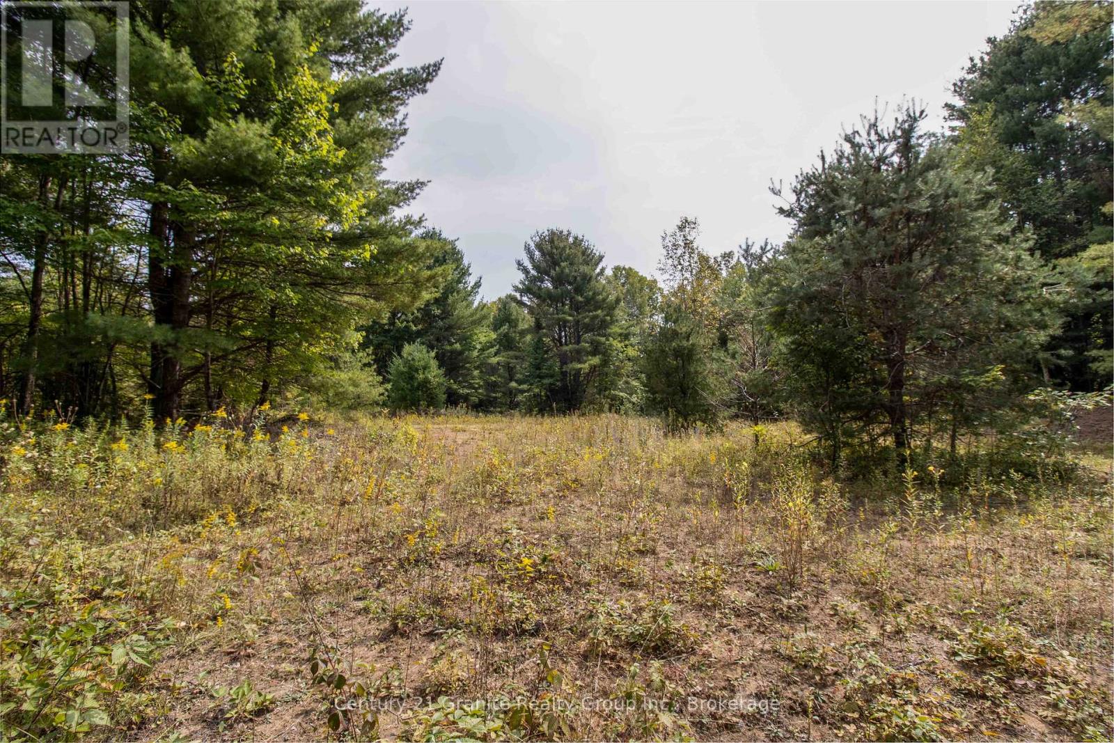 4729 County Road 121, Minden Hills, Ontario  K0M 2K0 - Photo 19 - X12132890