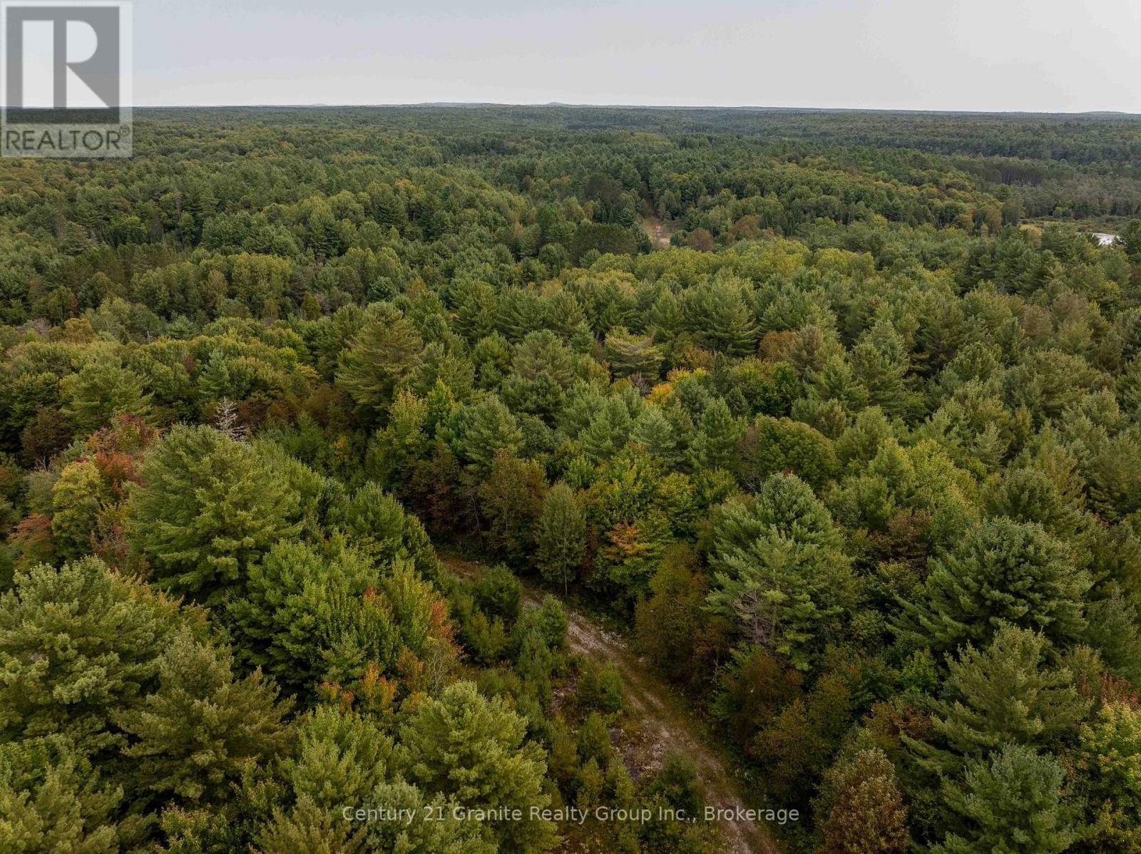 4729 County Road 121, Minden Hills, Ontario  K0M 2K0 - Photo 2 - X12132890