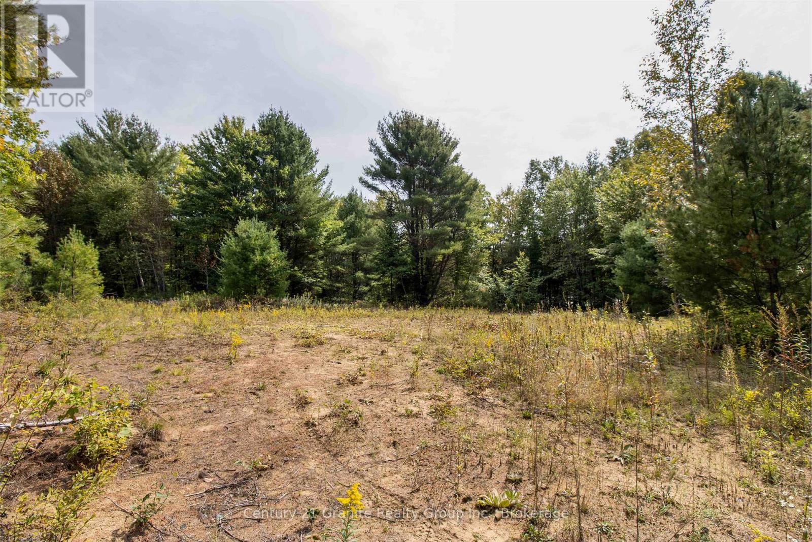 4729 County Road 121, Minden Hills, Ontario  K0M 2K0 - Photo 20 - X12132890