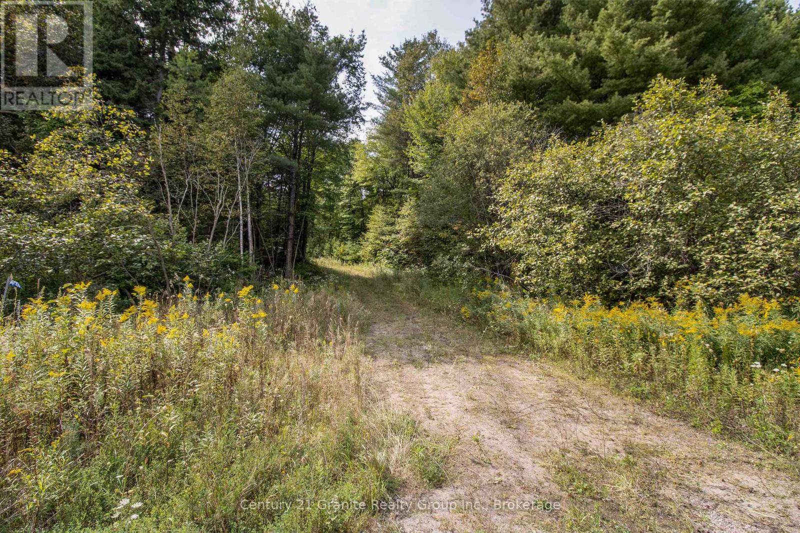 4729 County Road 121, Minden Hills, Ontario  K0M 2K0 - Photo 22 - X12132890
