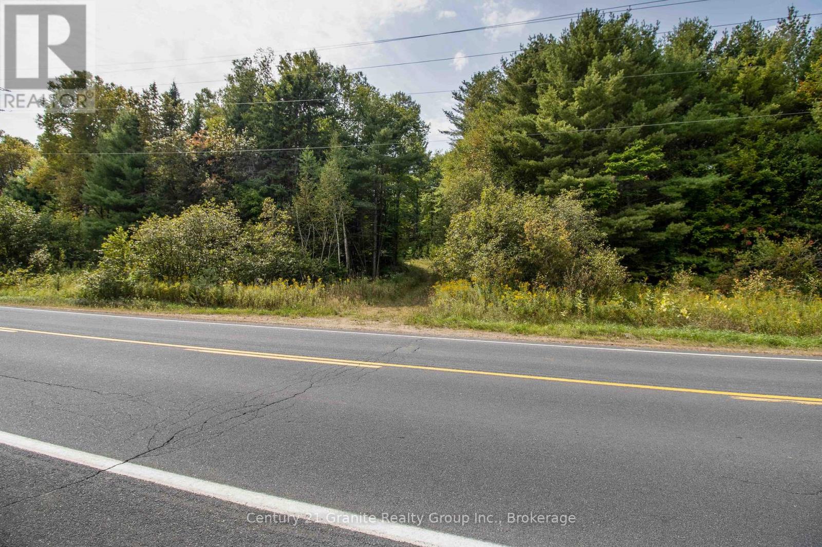 4729 County Road 121, Minden Hills, Ontario  K0M 2K0 - Photo 23 - X12132890
