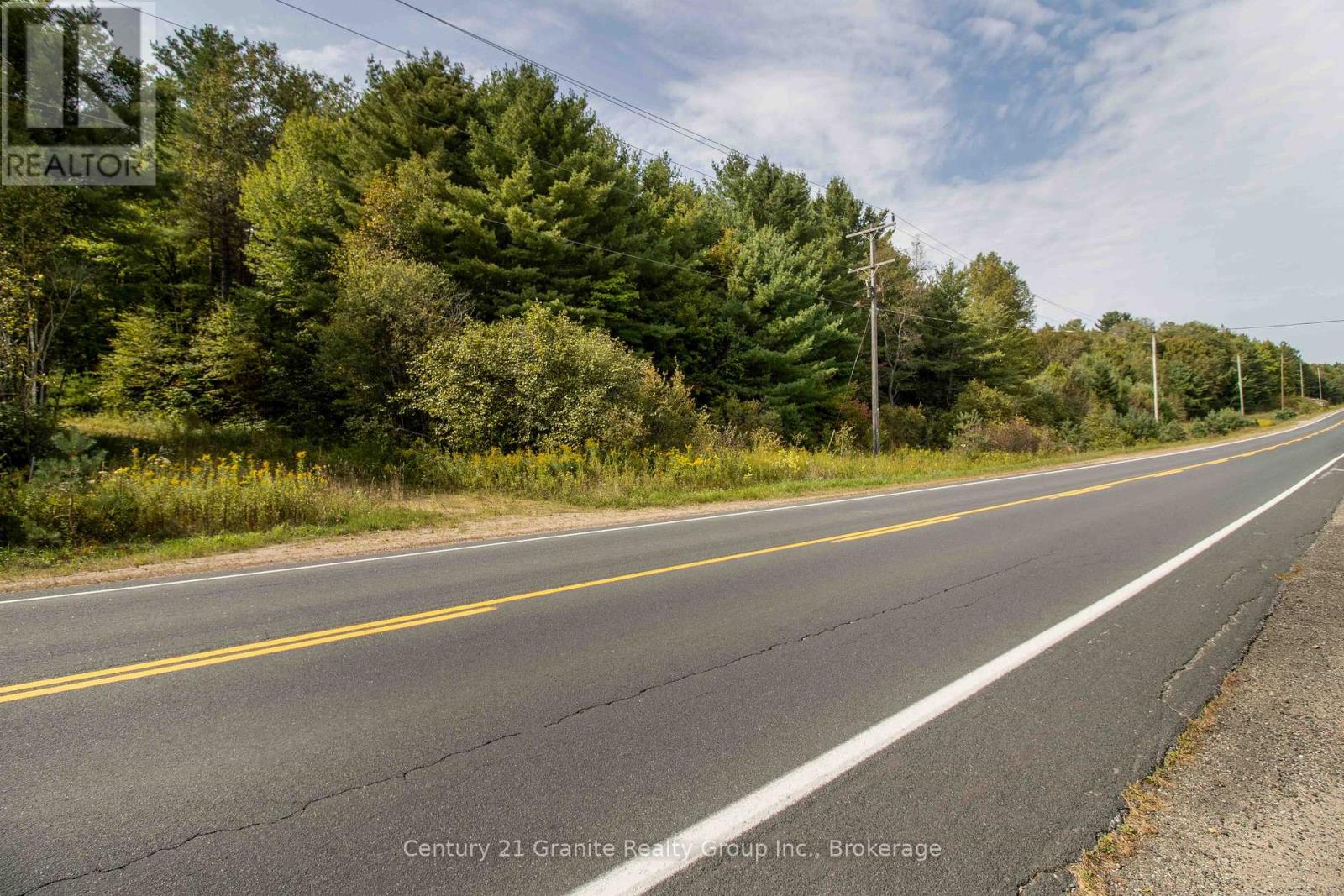 4729 County Road 121, Minden Hills, Ontario  K0M 2K0 - Photo 24 - X12132890