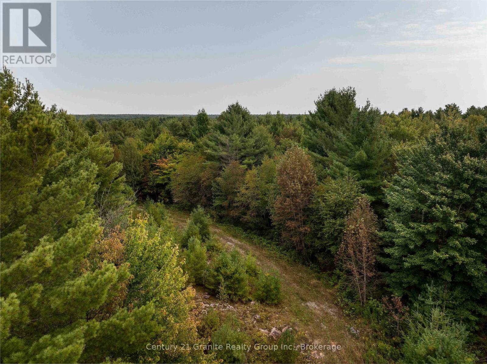 4729 County Road 121, Minden Hills, Ontario  K0M 2K0 - Photo 3 - X12132890