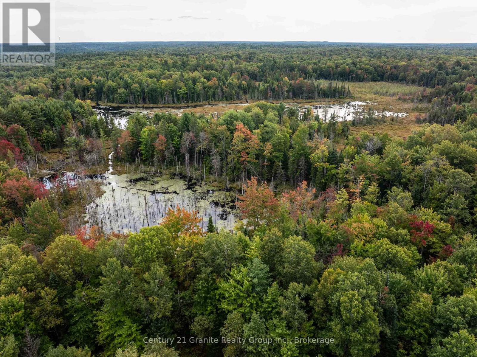4729 County Road 121, Minden Hills, Ontario  K0M 2K0 - Photo 4 - X12132890