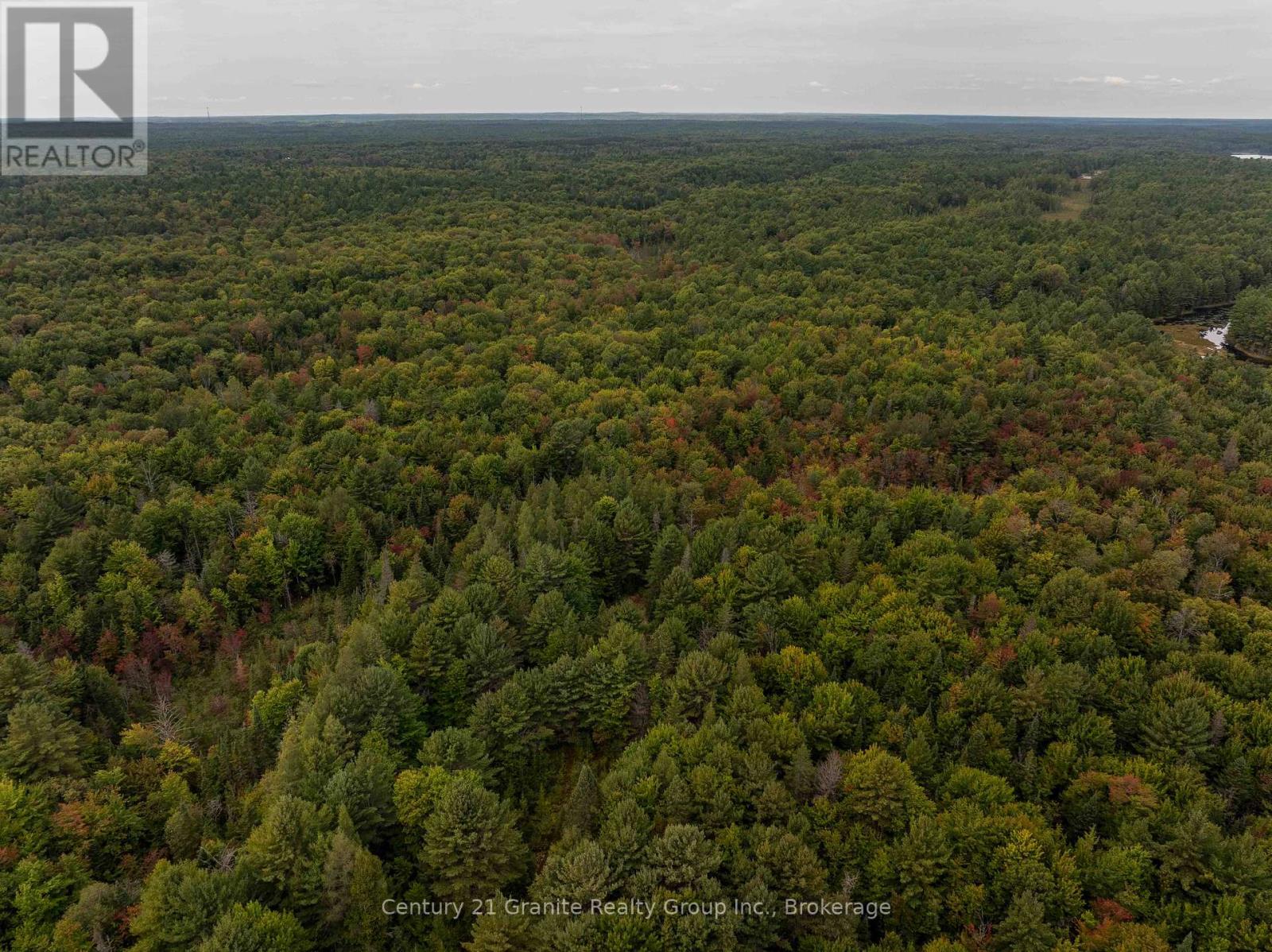 4729 County Road 121, Minden Hills, Ontario  K0M 2K0 - Photo 6 - X12132890