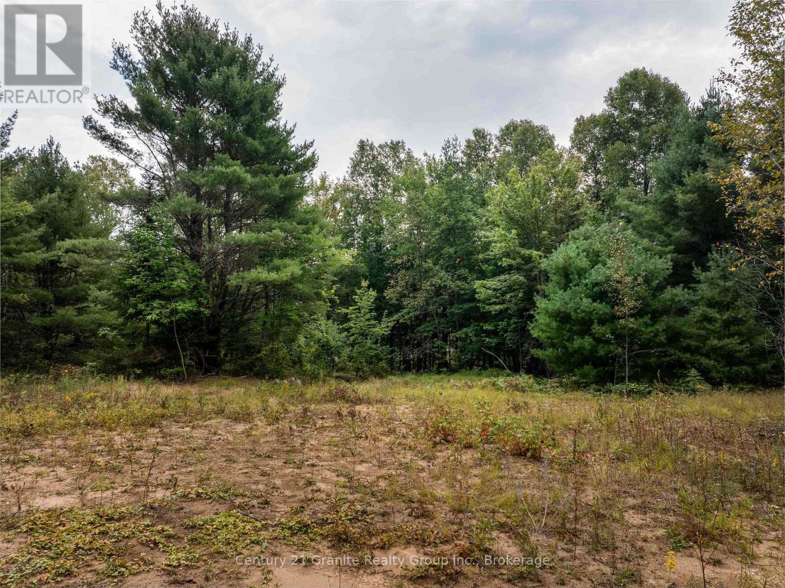 4729 County Road 121, Minden Hills, Ontario  K0M 2K0 - Photo 8 - X12132890