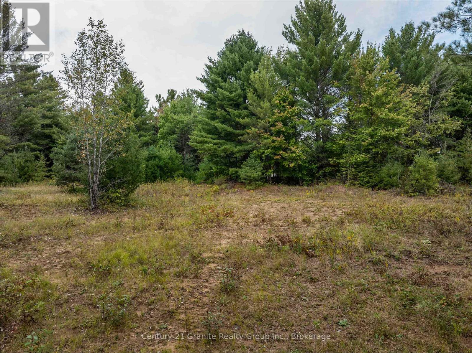4729 County Road 121, Minden Hills, Ontario  K0M 2K0 - Photo 9 - X12132890