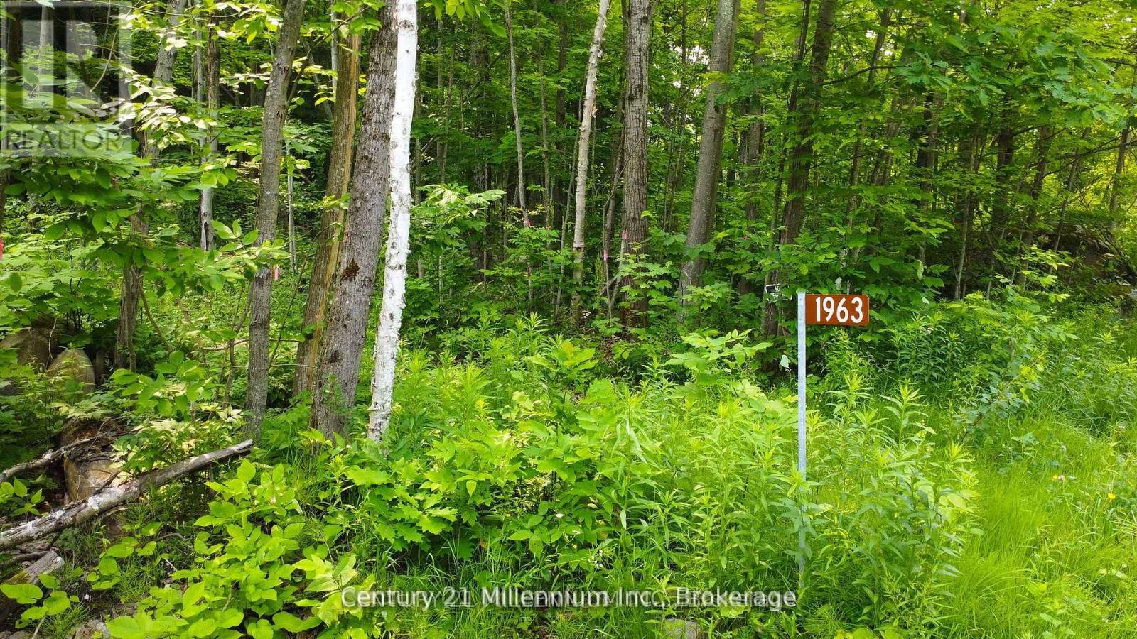 Lot 52 Tiny Beaches Road N, Tiny, Ontario  L9M 0H8 - Photo 4 - S12133077