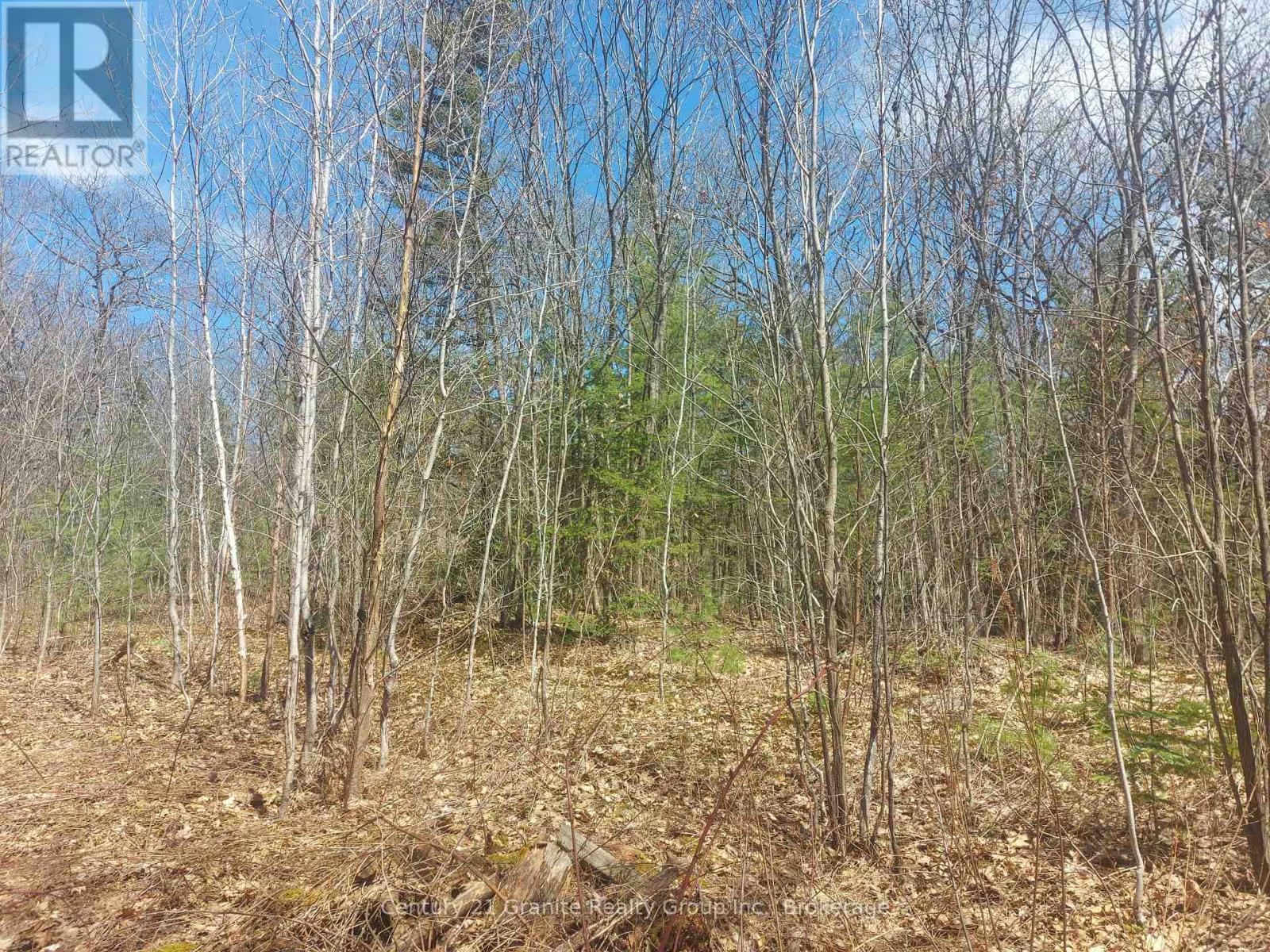 1145 Little Hawk Lake Road, Algonquin Highlands, Ontario  K0M 1S0 - Photo 10 - X12133050