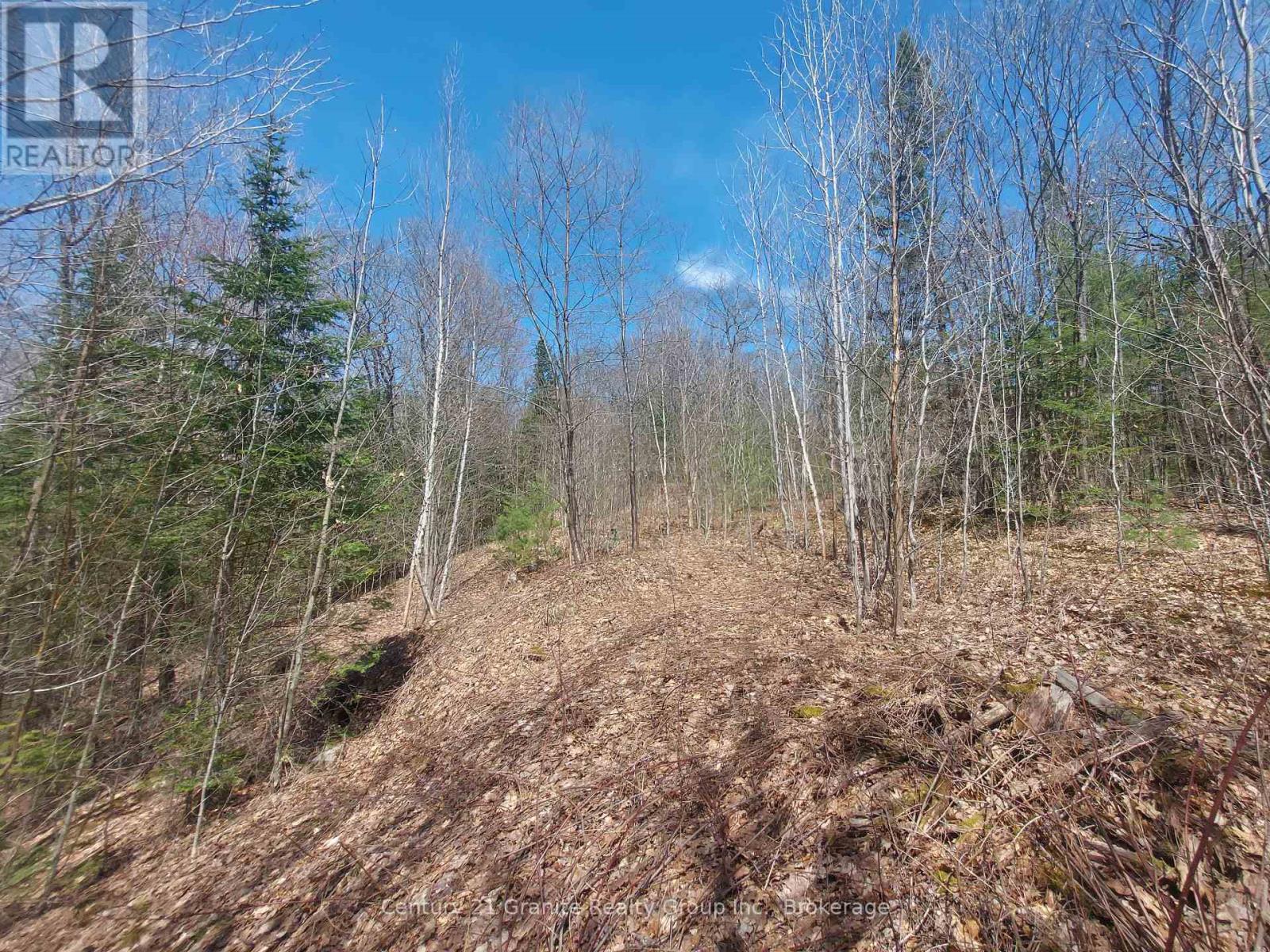 1145 Little Hawk Lake Road, Algonquin Highlands, Ontario  K0M 1S0 - Photo 11 - X12133050