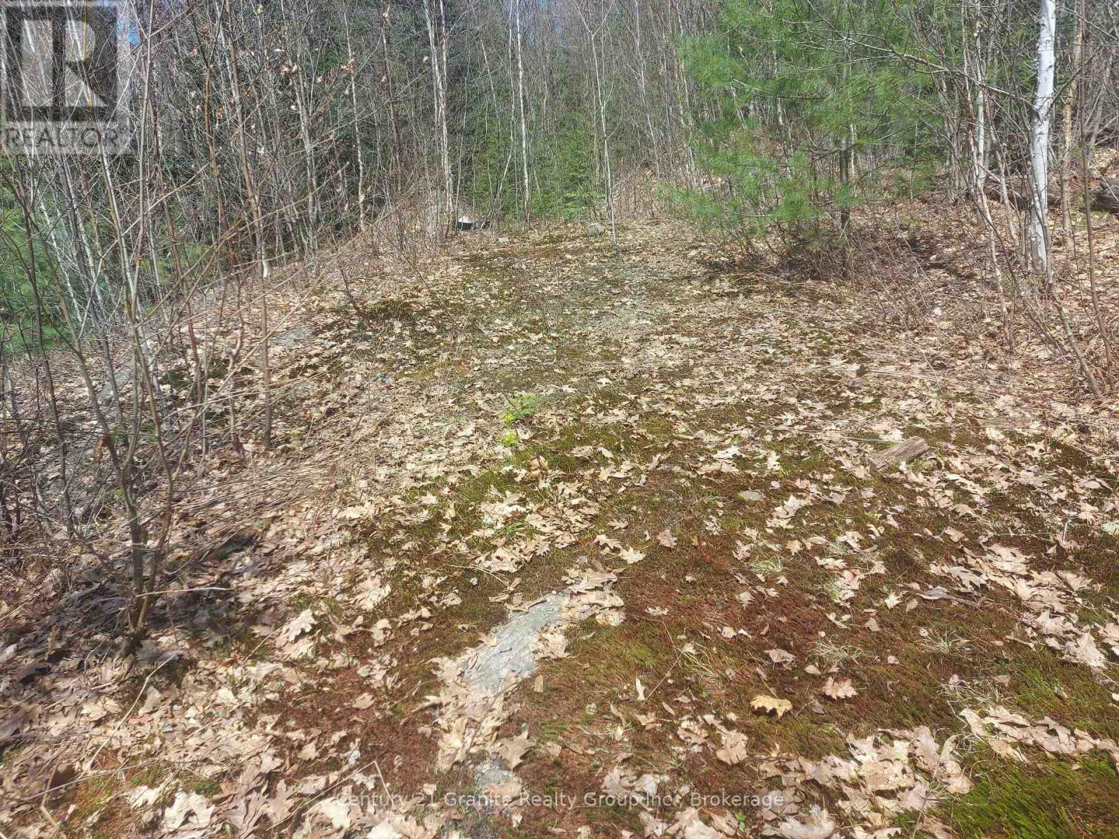 1145 Little Hawk Lake Road, Algonquin Highlands, Ontario  K0M 1S0 - Photo 13 - X12133050