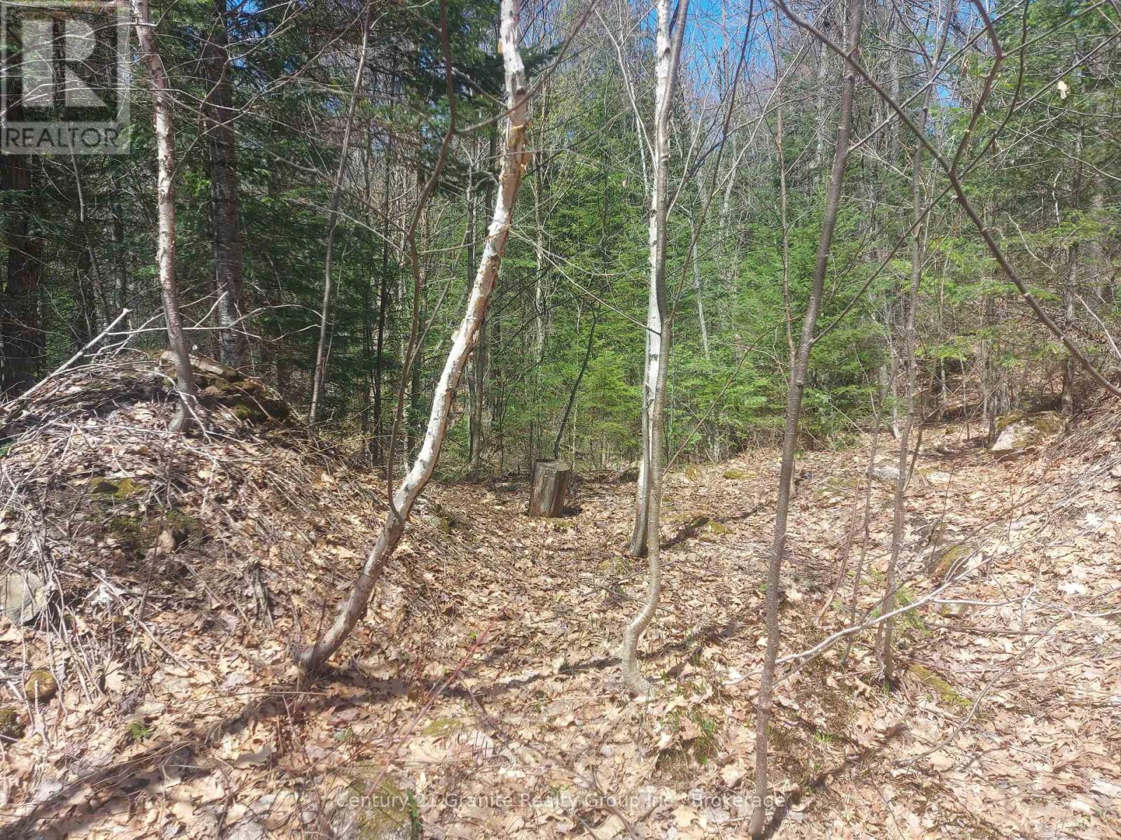 1145 Little Hawk Lake Road, Algonquin Highlands, Ontario  K0M 1S0 - Photo 14 - X12133050