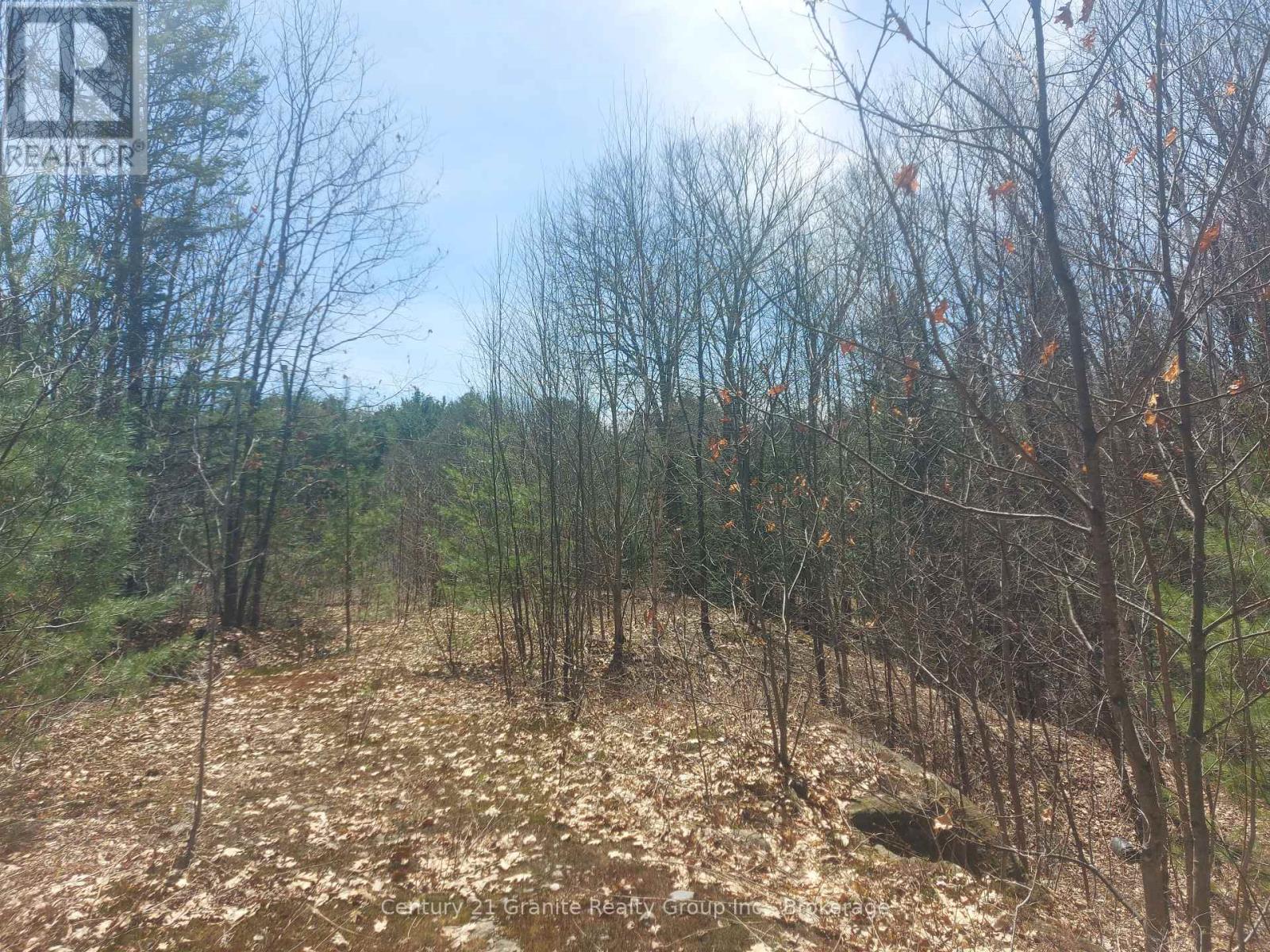 1145 Little Hawk Lake Road, Algonquin Highlands, Ontario  K0M 1S0 - Photo 16 - X12133050