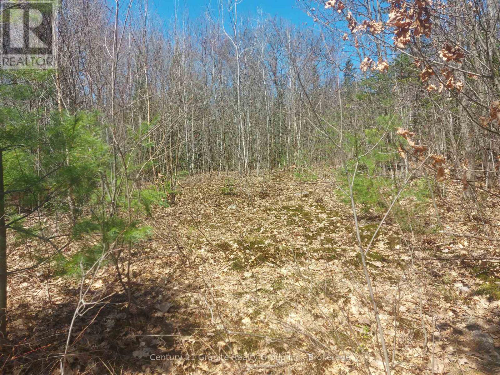 1145 Little Hawk Lake Road, Algonquin Highlands, Ontario  K0M 1S0 - Photo 17 - X12133050