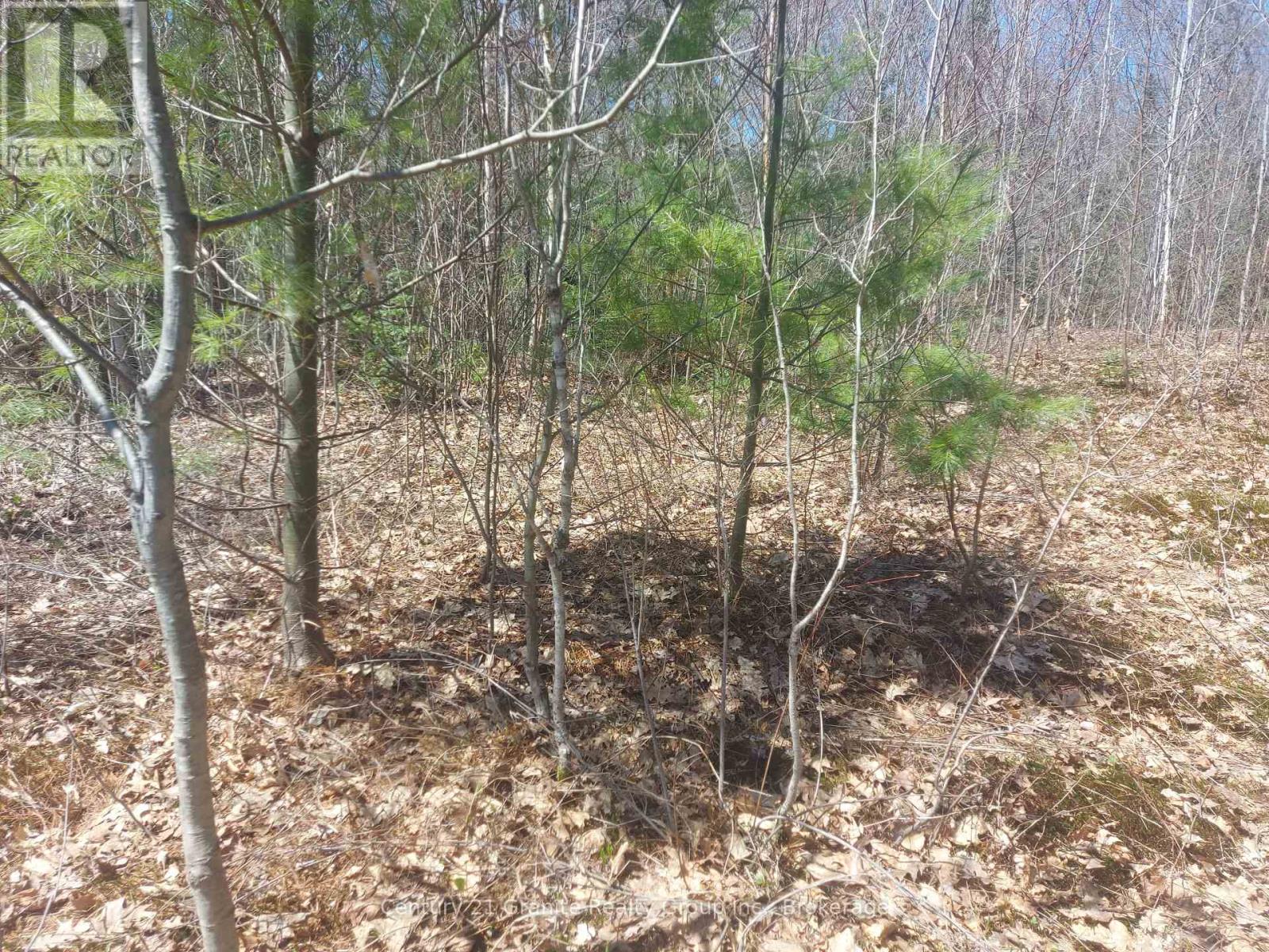 1145 Little Hawk Lake Road, Algonquin Highlands, Ontario  K0M 1S0 - Photo 18 - X12133050