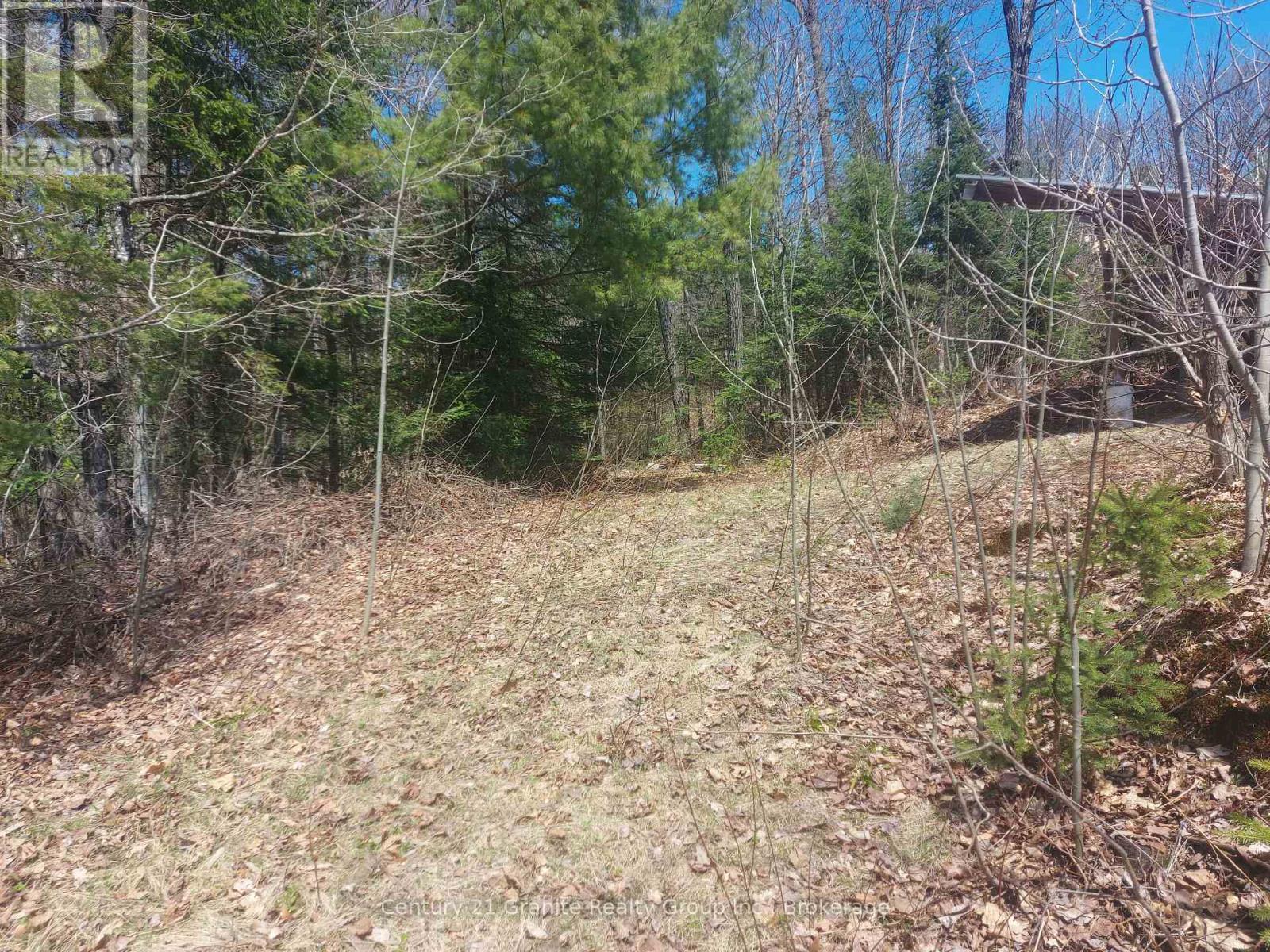 1145 Little Hawk Lake Road, Algonquin Highlands, Ontario  K0M 1S0 - Photo 4 - X12133050