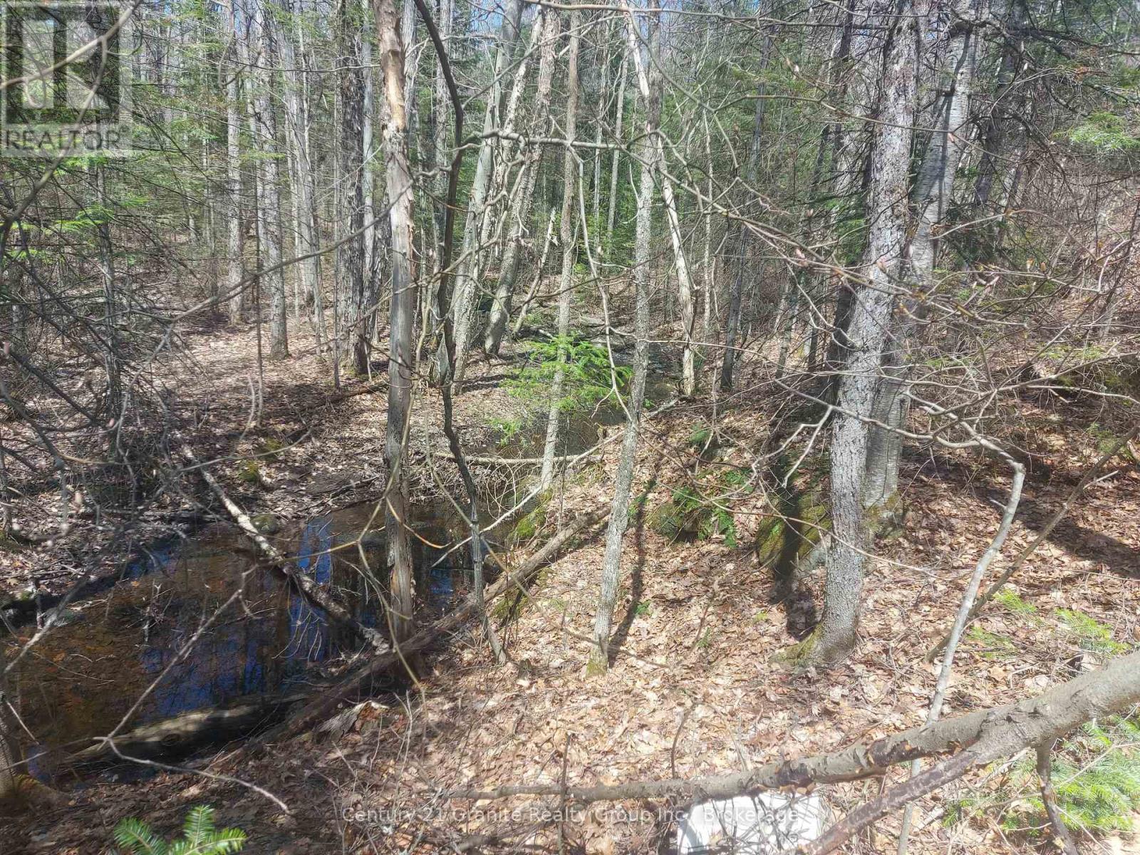 1145 Little Hawk Lake Road, Algonquin Highlands, Ontario  K0M 1S0 - Photo 6 - X12133050