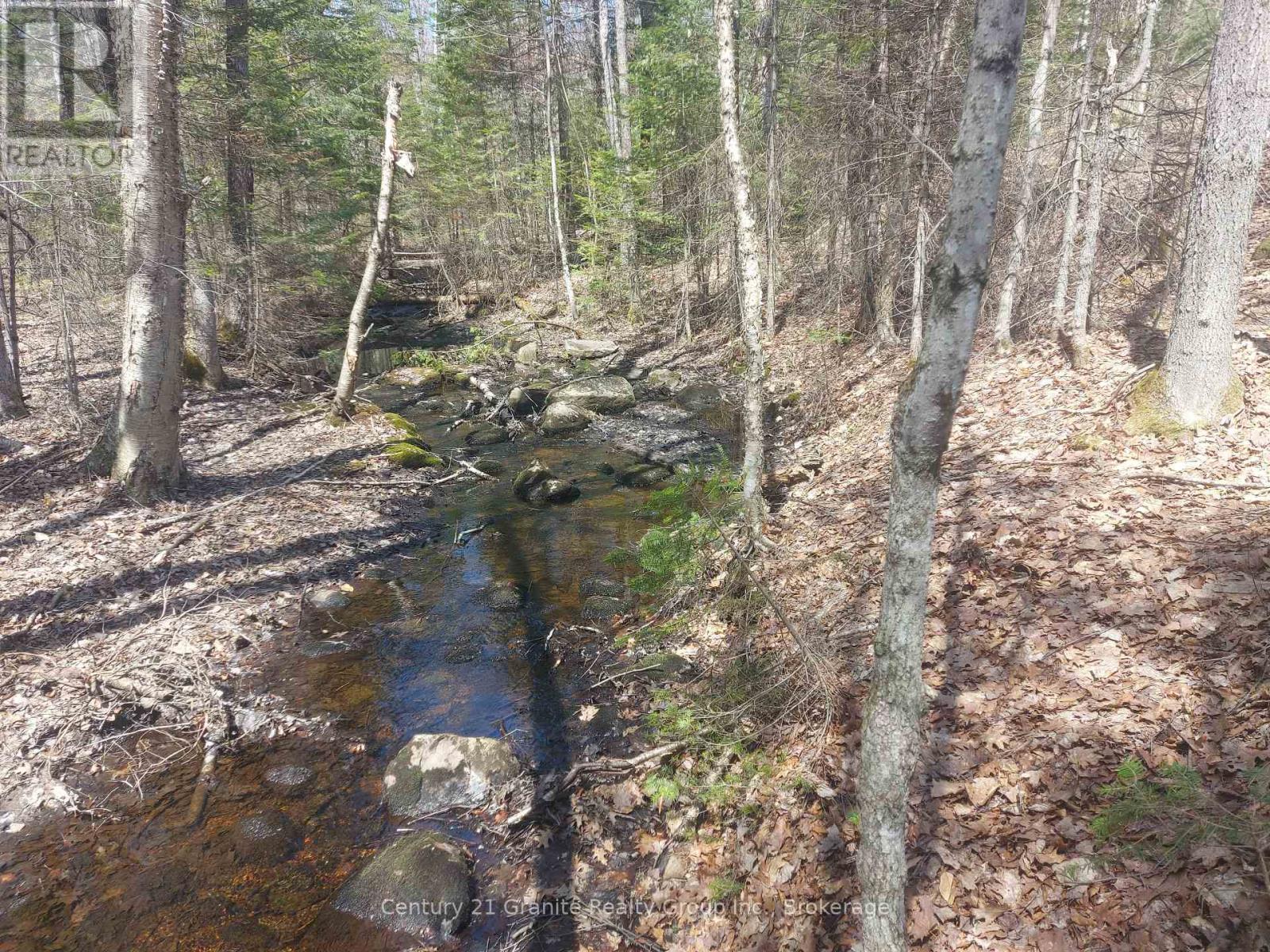 1145 Little Hawk Lake Road, Algonquin Highlands, Ontario  K0M 1S0 - Photo 7 - X12133050