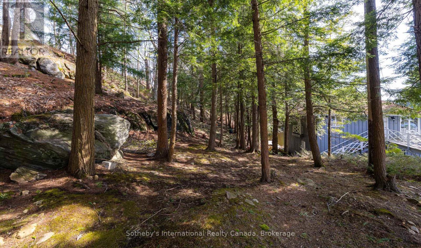 1-1076 Birch Point Road, Gravenhurst, Ontario  P1P 1R1 - Photo 30 - X12134532