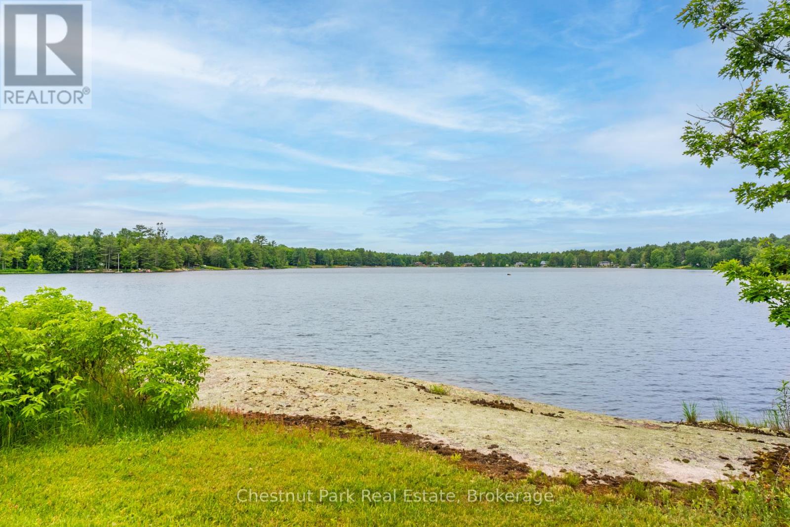 1594 Doe Lake Road, Gravenhurst, Ontario  P1P 1R3 - Photo 50 - X12136428