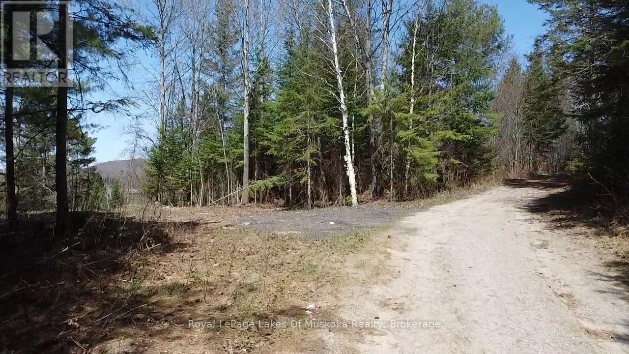 0 Old Muskoka Road, Perry, Ontario  P0A 1J0 - Photo 9 - X12138437