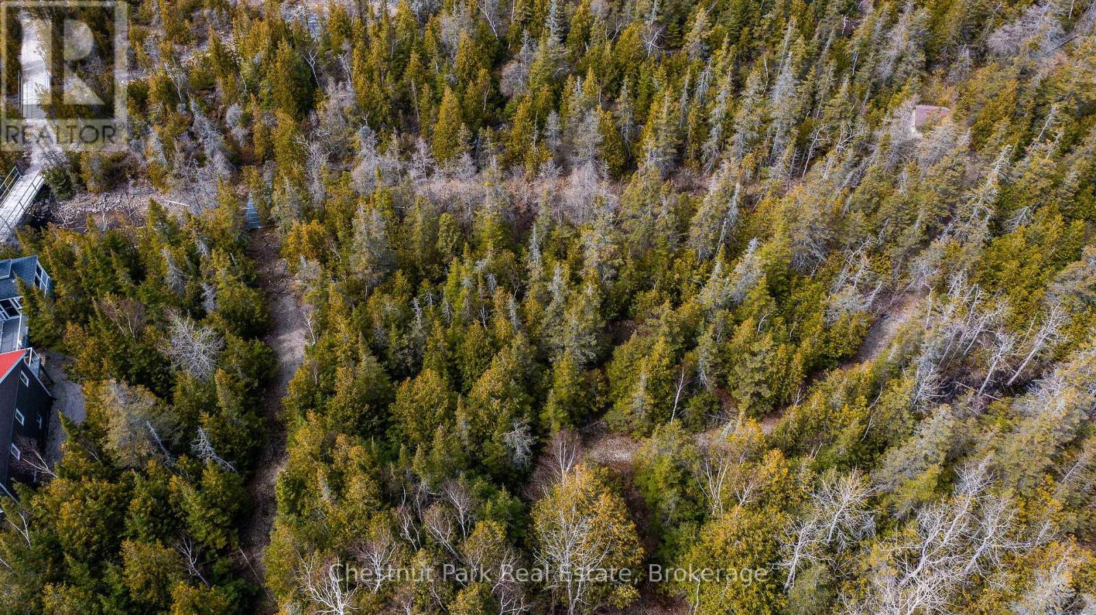 Lt 18 Corey Crescent, Northern Bruce Peninsula, Ontario  N0H 2R0 - Photo 17 - X12139678