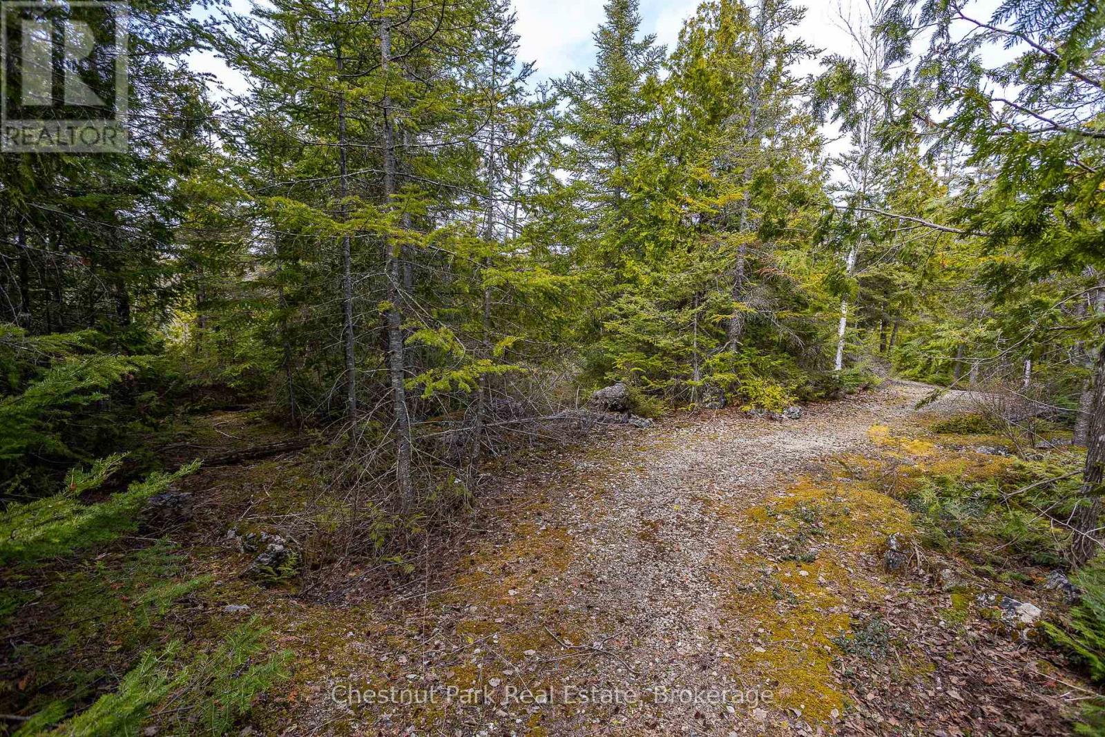 Lt 18 Corey Crescent, Northern Bruce Peninsula, Ontario  N0H 2R0 - Photo 18 - X12139678