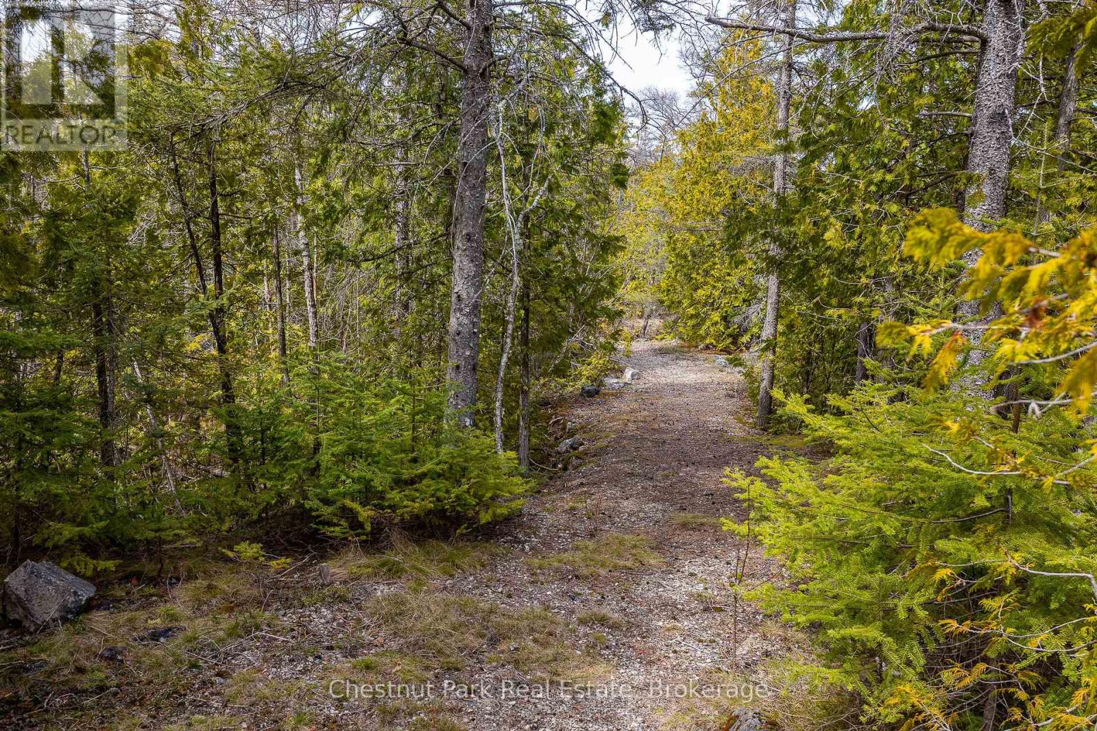 Lt 18 Corey Crescent, Northern Bruce Peninsula, Ontario  N0H 2R0 - Photo 20 - X12139678