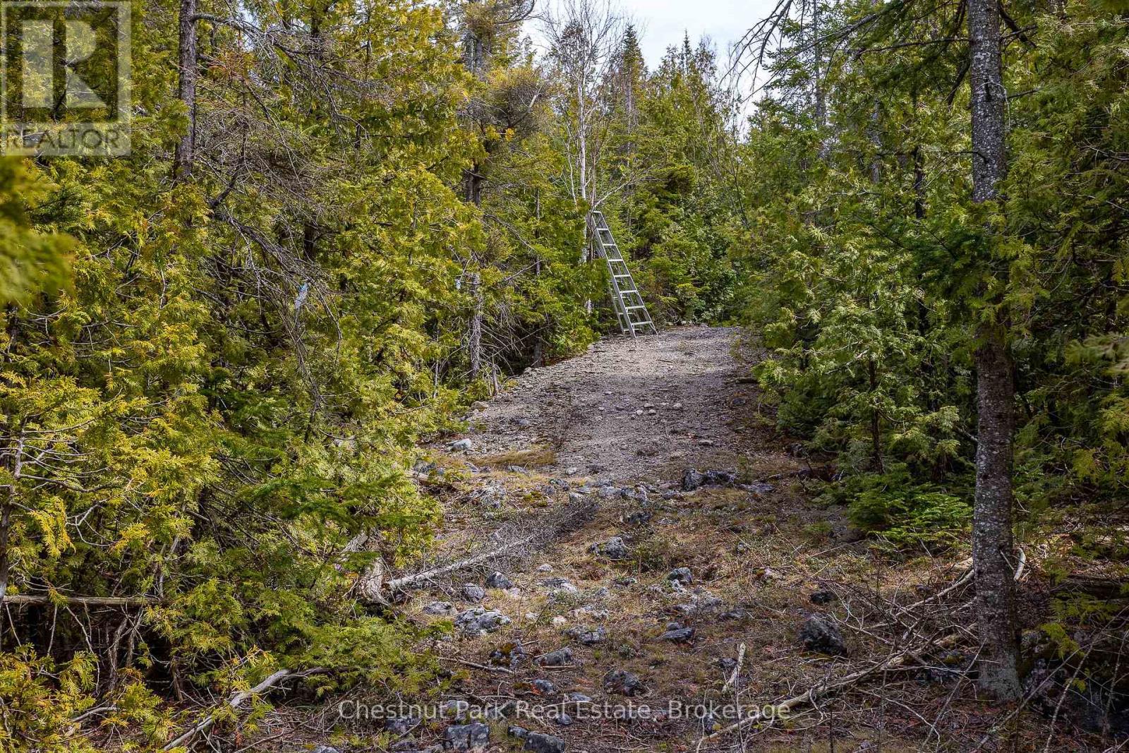 Lt 18 Corey Crescent, Northern Bruce Peninsula, Ontario  N0H 2R0 - Photo 22 - X12139678