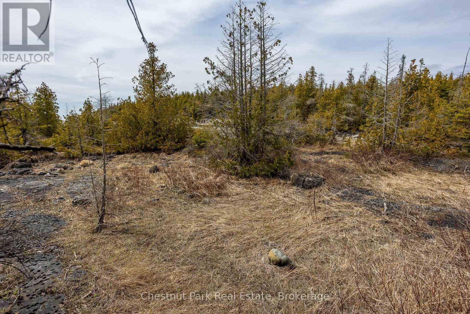 Lt 18 Corey Crescent, Northern Bruce Peninsula, Ontario  N0H 2R0 - Photo 24 - X12139678