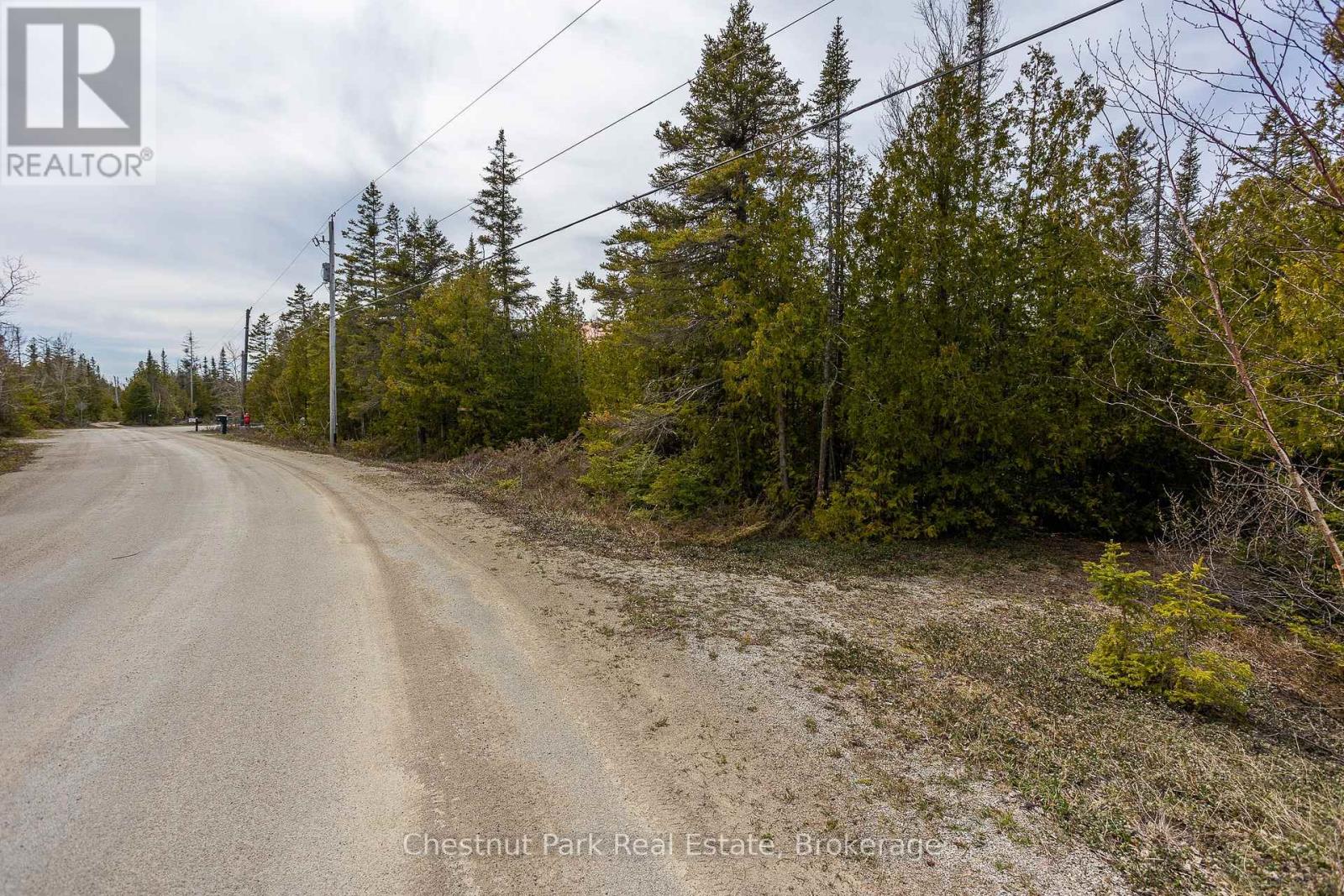 Lt 18 Corey Crescent, Northern Bruce Peninsula, Ontario  N0H 2R0 - Photo 38 - X12139678