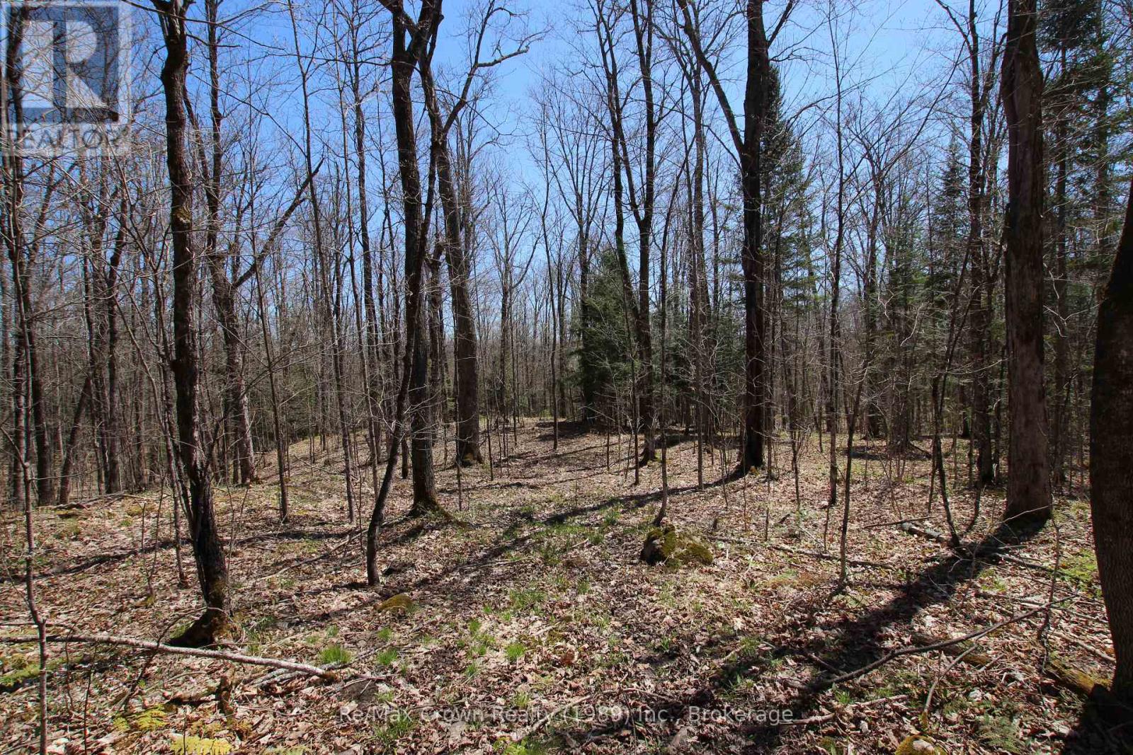 0 534 Hwy Highway, Parry Sound Remote Area, Ontario  P0H 2R0 - Photo 10 - X12139978