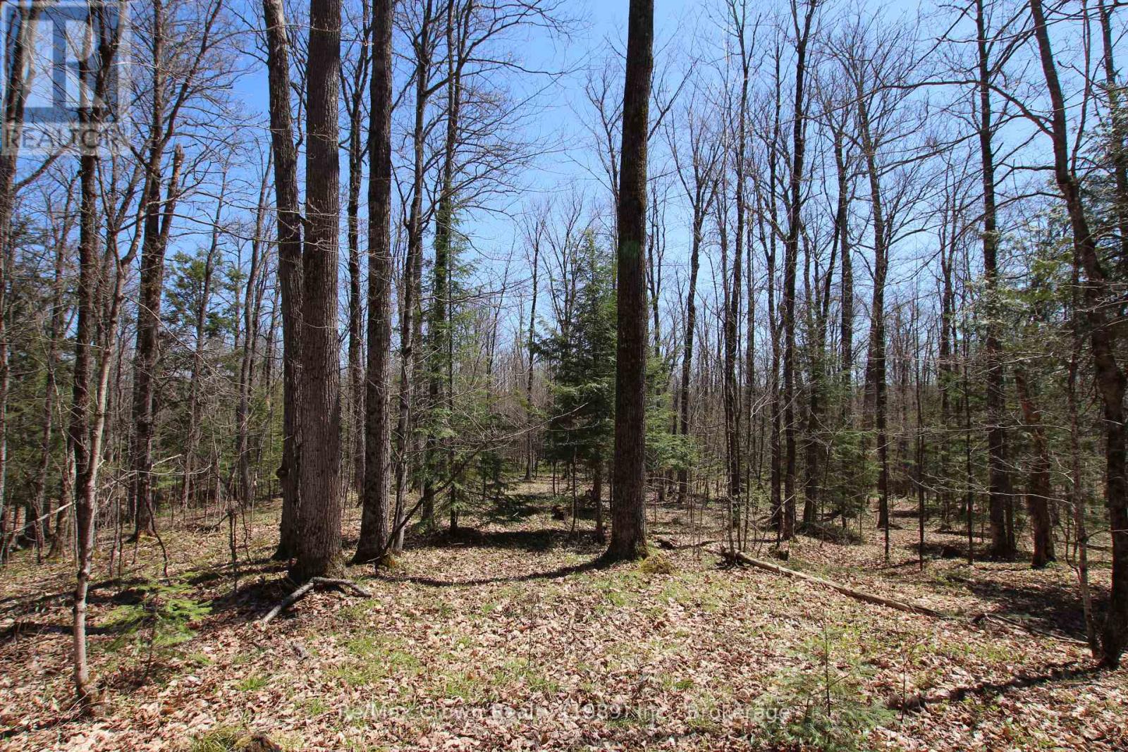 0 534 Hwy Highway, Parry Sound Remote Area, Ontario  P0H 2R0 - Photo 11 - X12139978