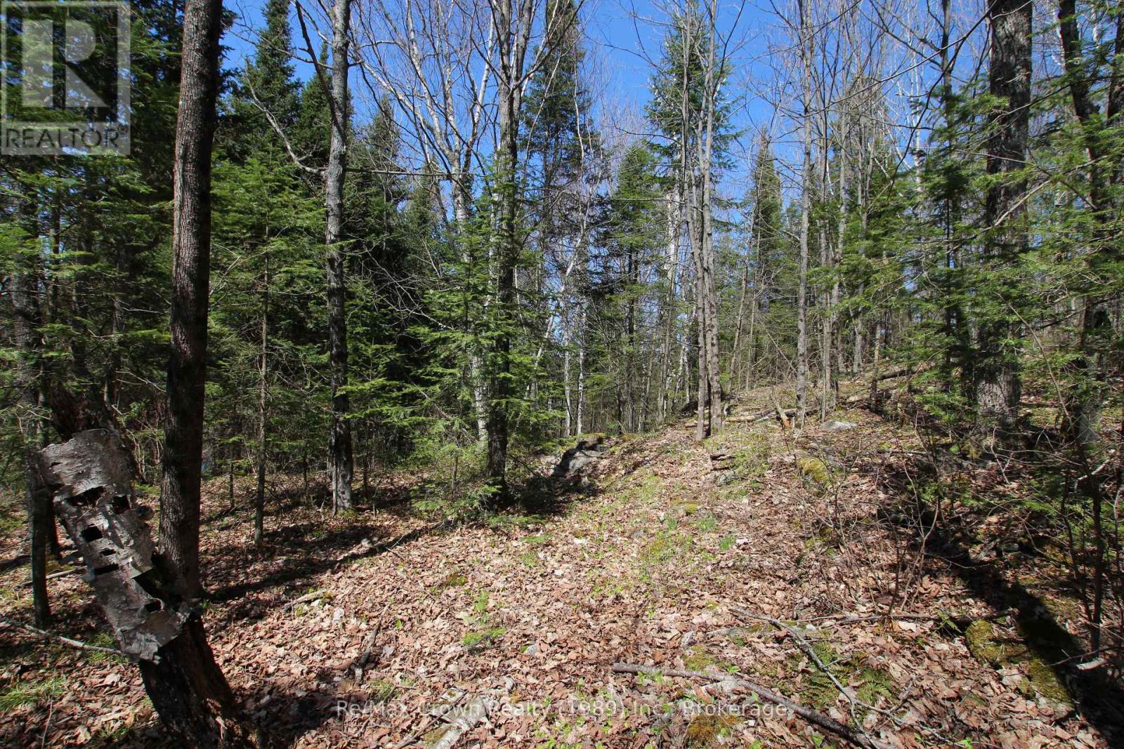 0 534 Hwy Highway, Parry Sound Remote Area, Ontario  P0H 2R0 - Photo 21 - X12139978