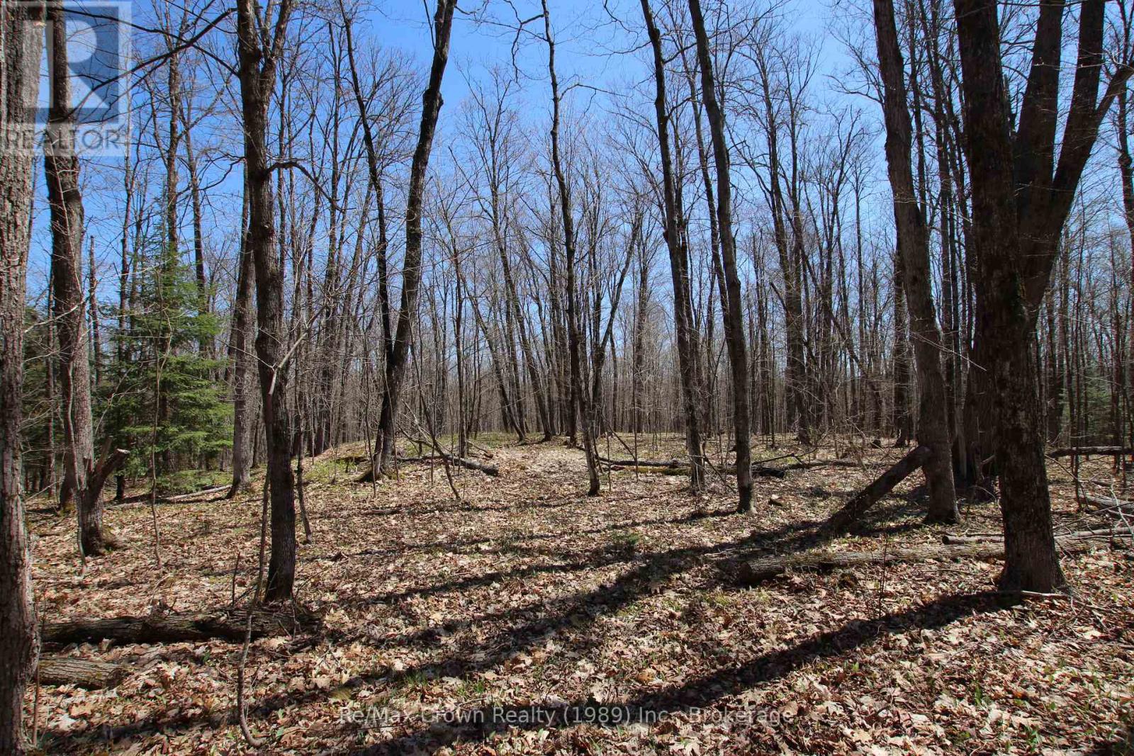 0 534 Hwy Highway, Parry Sound Remote Area, Ontario  P0H 2R0 - Photo 3 - X12139978