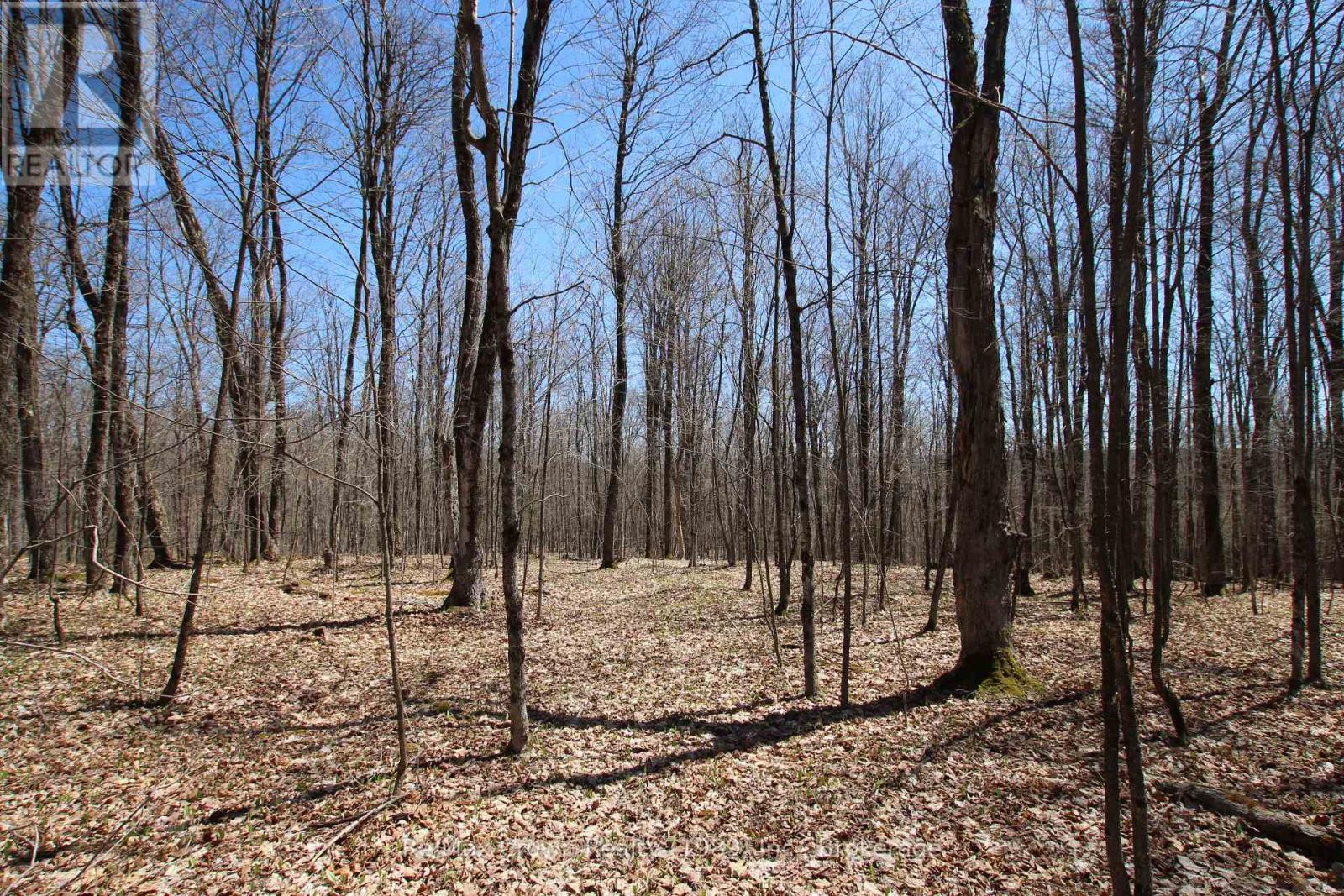 0 534 Hwy Highway, Parry Sound Remote Area, Ontario  P0H 2R0 - Photo 5 - X12139978