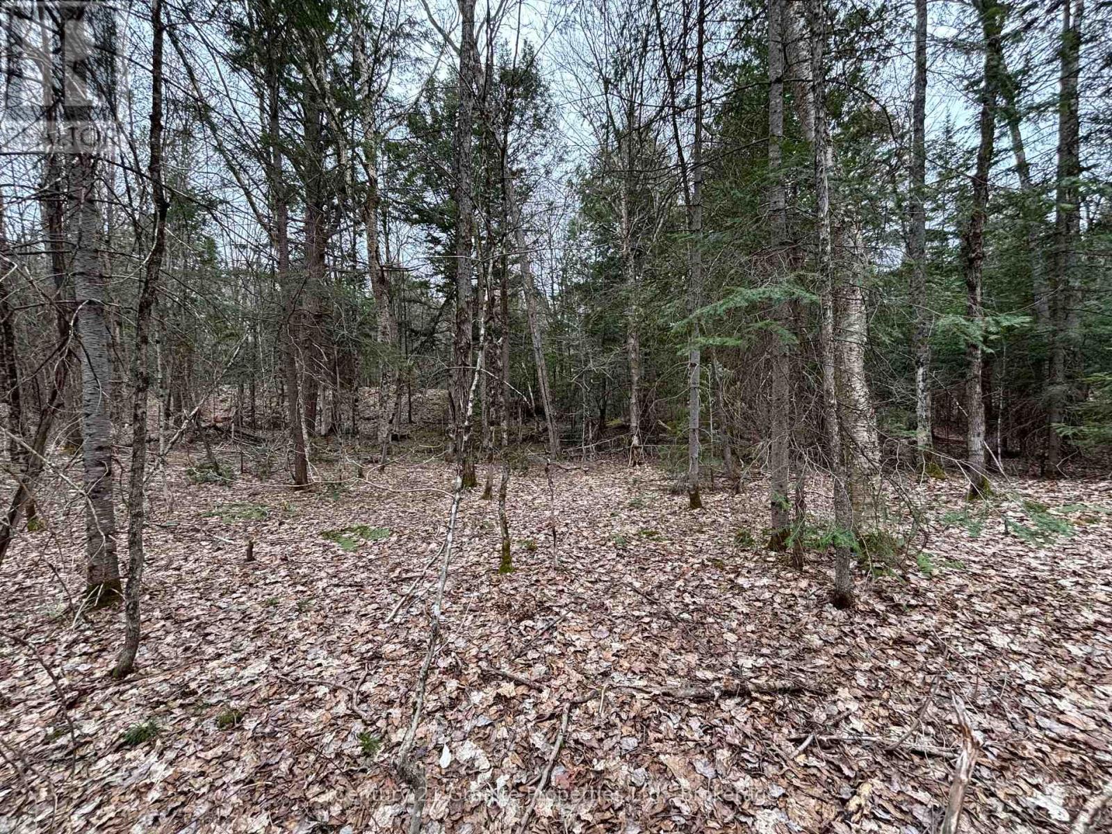 Lot 1 Loch Erne Road, Mcdougall, Ontario  P2A 2W7 - Photo 1 - X12140250
