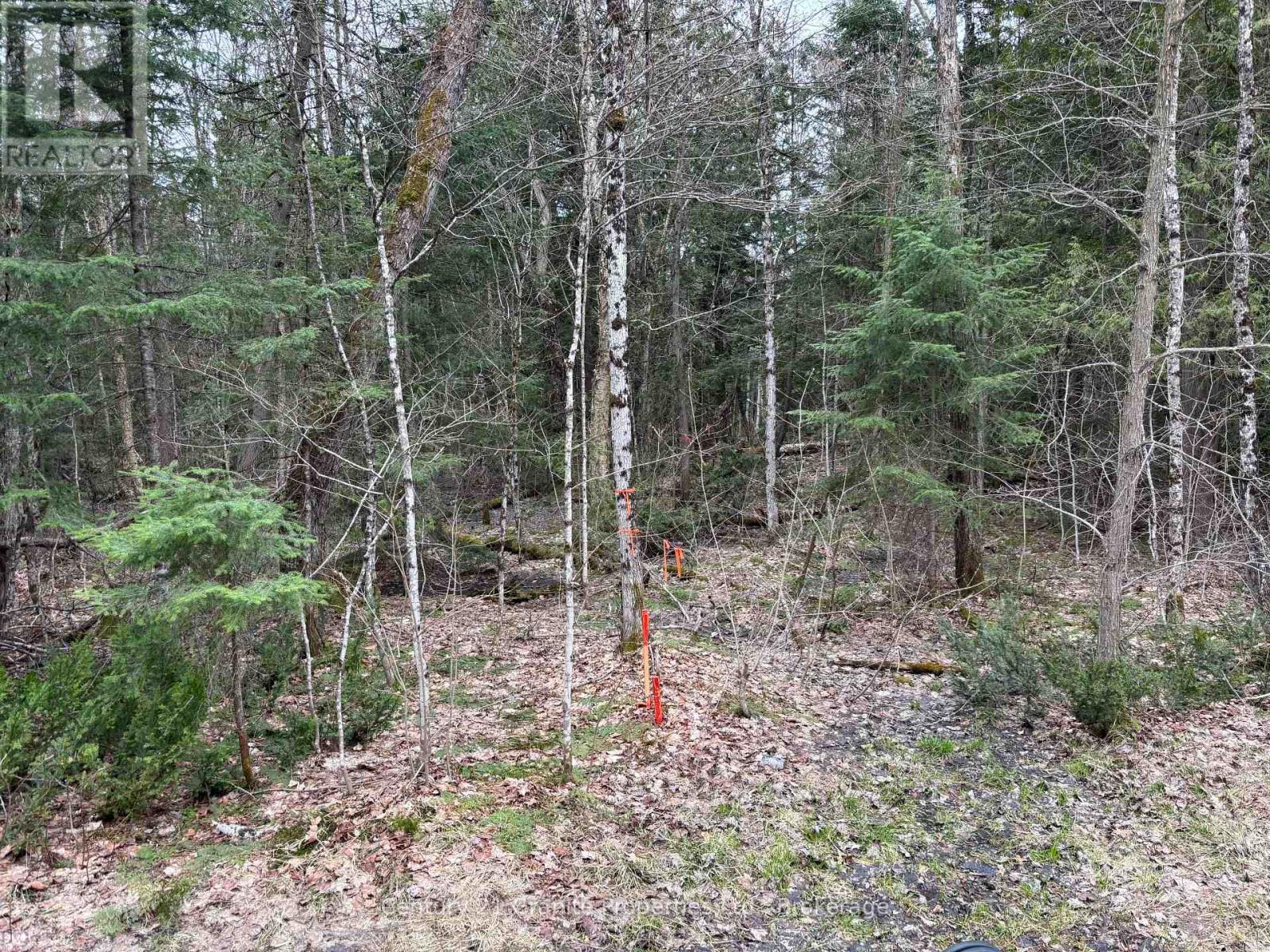 Lot 1 Loch Erne Road, Mcdougall, Ontario  P2A 2W7 - Photo 2 - X12140250