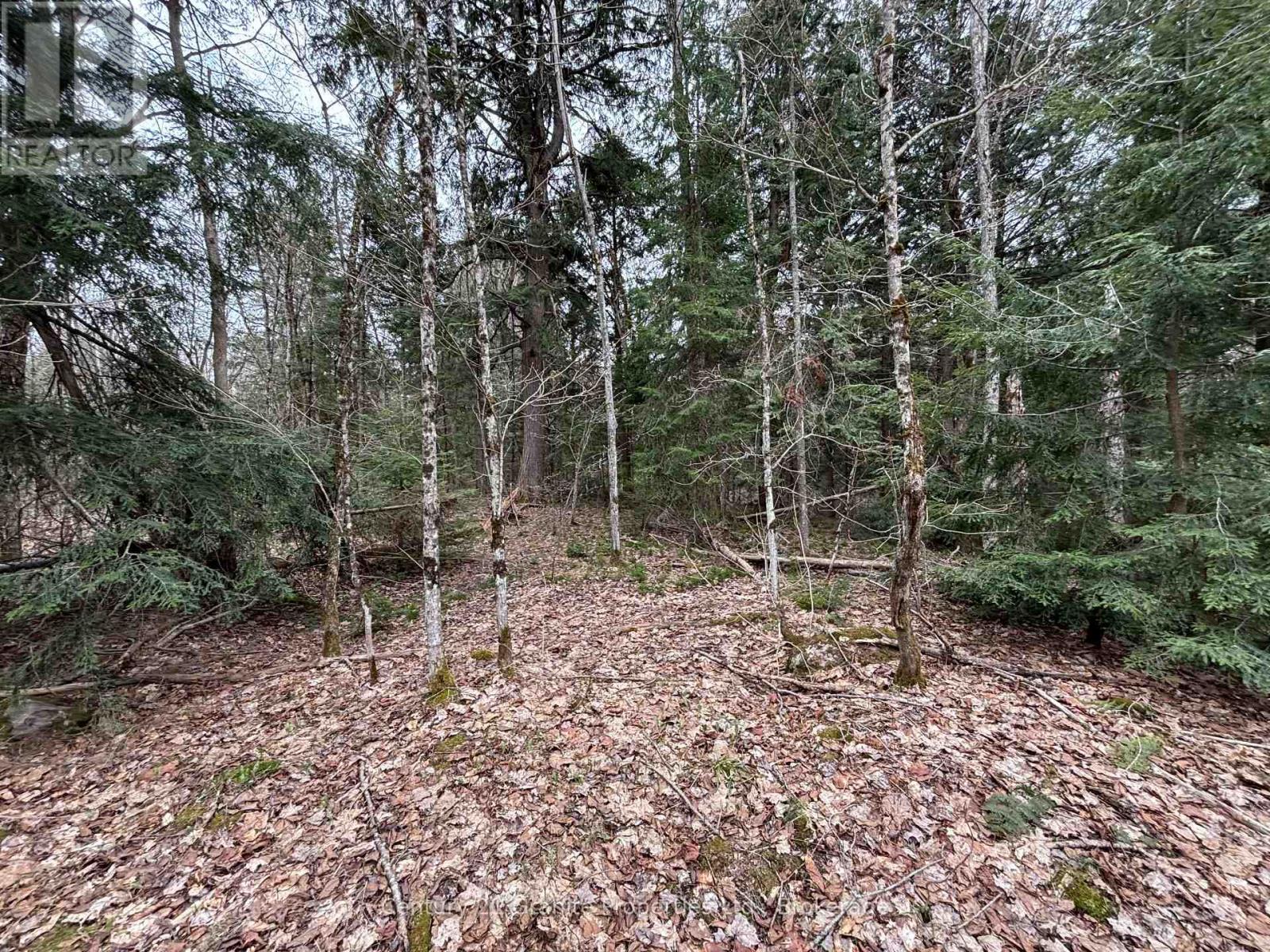 Lot 1 Loch Erne Road, Mcdougall, Ontario  P2A 2W7 - Photo 3 - X12140250