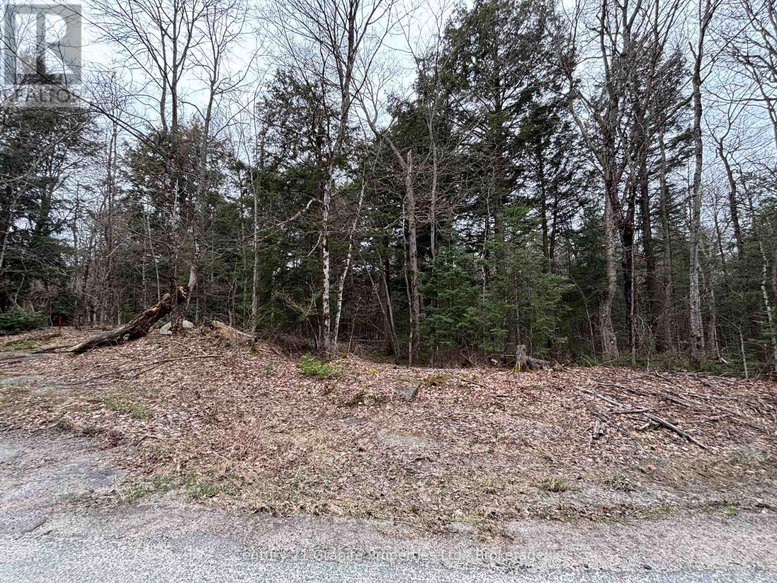 Lot 1 Loch Erne Road, Mcdougall, Ontario  P2A 2W7 - Photo 7 - X12140250