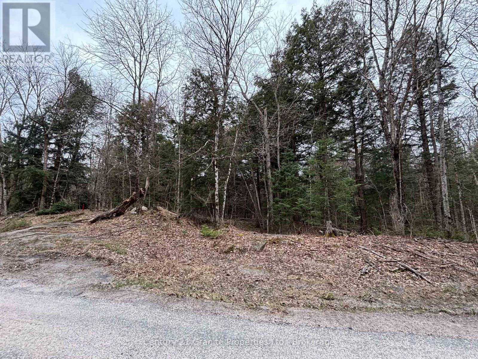 Lot 1 Loch Erne Road, Mcdougall, Ontario  P2A 2W7 - Photo 8 - X12140250