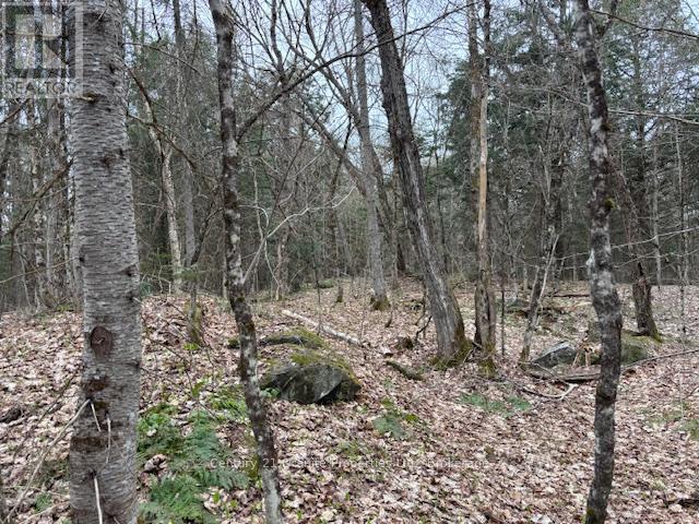 Lot 2 Loch Erne Road, Mcdougall, Ontario  P2A 2W7 - Photo 1 - X12140286