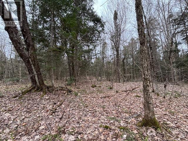 Lot 2 Loch Erne Road, Mcdougall, Ontario  P2A 2W7 - Photo 2 - X12140286