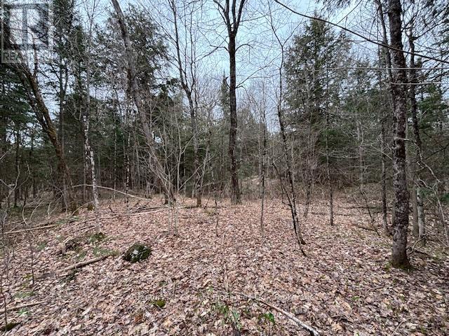 Lot 2 Loch Erne Road, Mcdougall, Ontario  P2A 2W7 - Photo 3 - X12140286