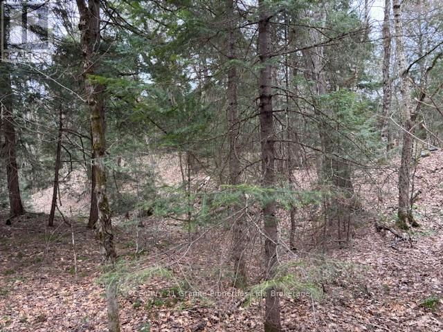 Lot 2 Loch Erne Road, Mcdougall, Ontario  P2A 2W7 - Photo 4 - X12140286