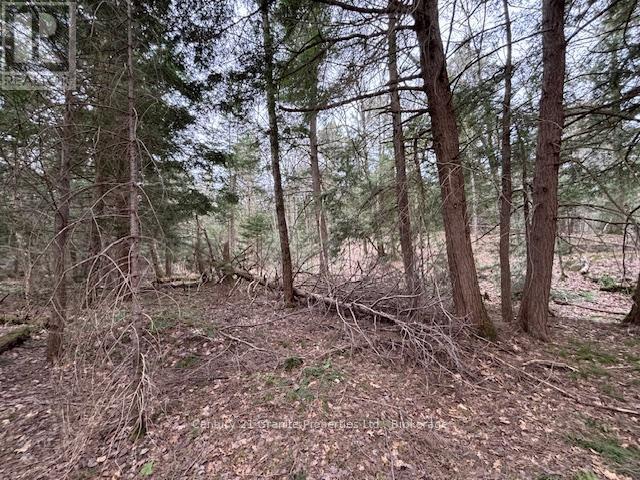 Lot 2 Loch Erne Road, Mcdougall, Ontario  P2A 2W7 - Photo 5 - X12140286