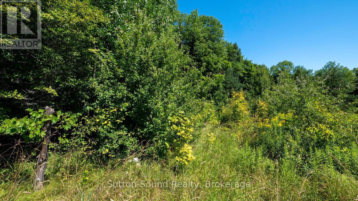 31 Everett Road, South Bruce Peninsula, Ontario  N0H 2T0 - Photo 10 - X12141235