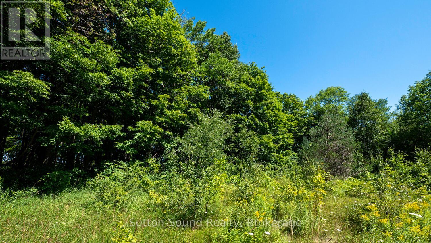 31 Everett Road, South Bruce Peninsula, Ontario  N0H 2T0 - Photo 11 - X12141235